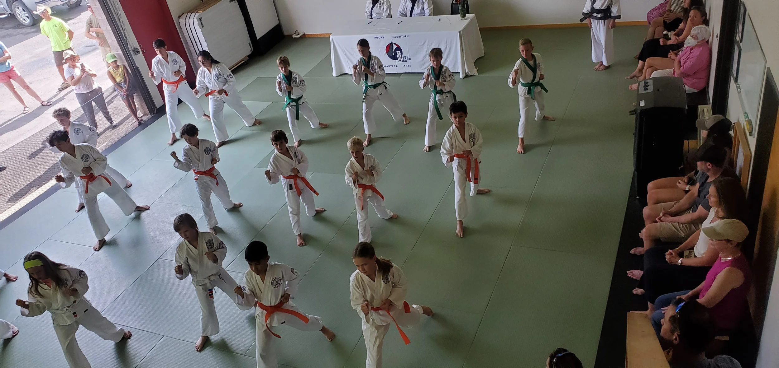 Basalt Juniors arial.jpg