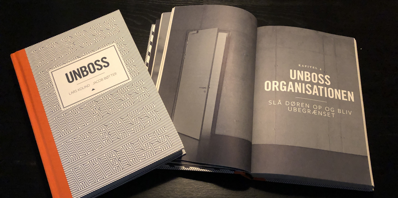 Building an Unlimited Organisation