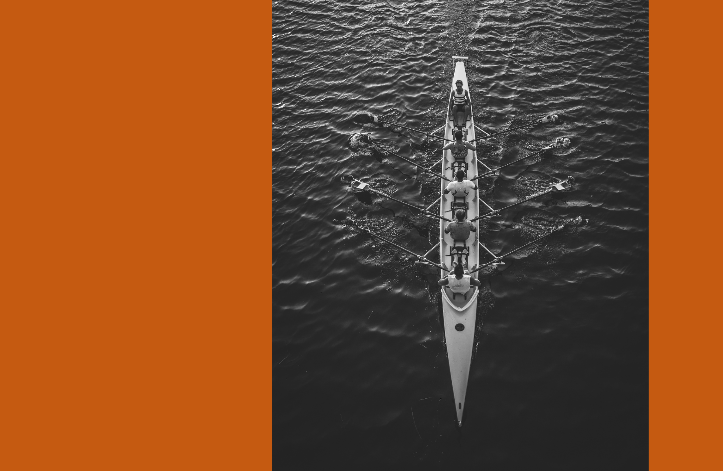 Creating High Performance Cultures for Highly Specialised Scientists