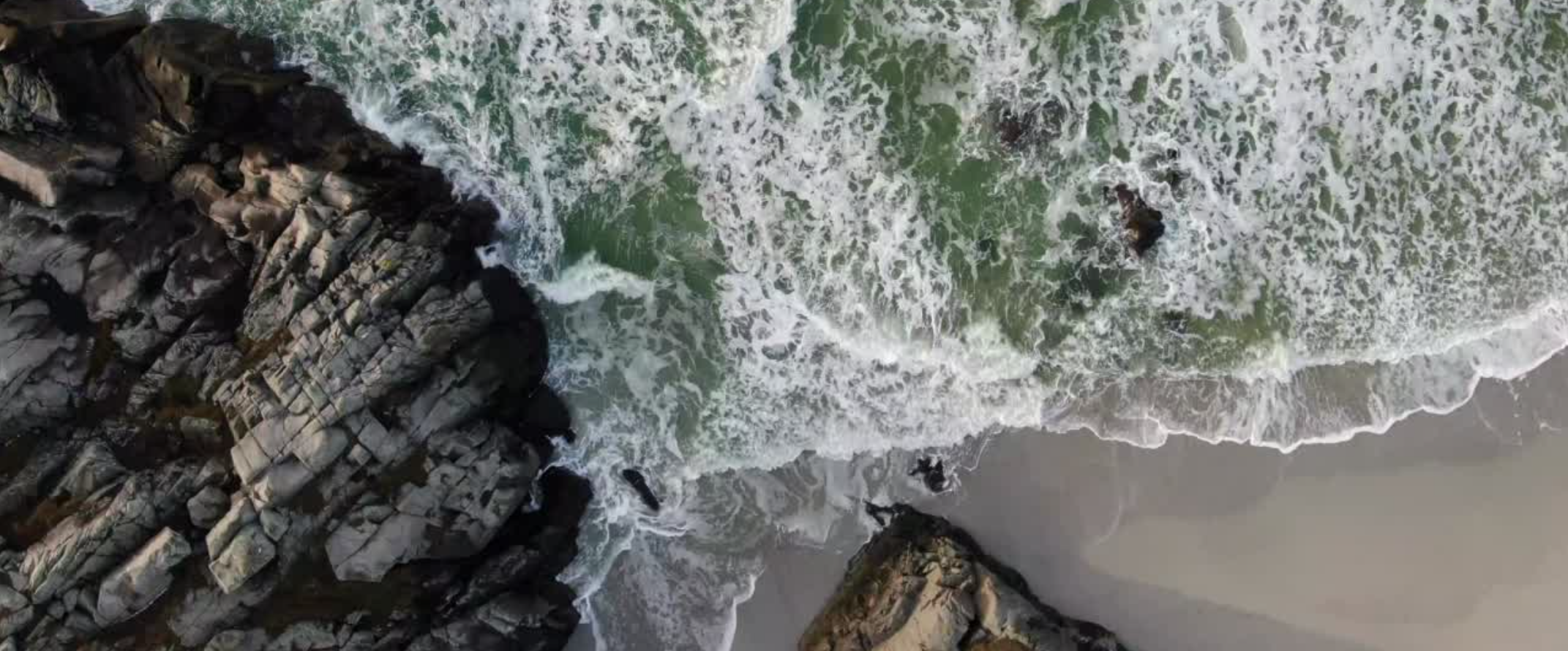 Mobile Fallback image for Banner.PNG