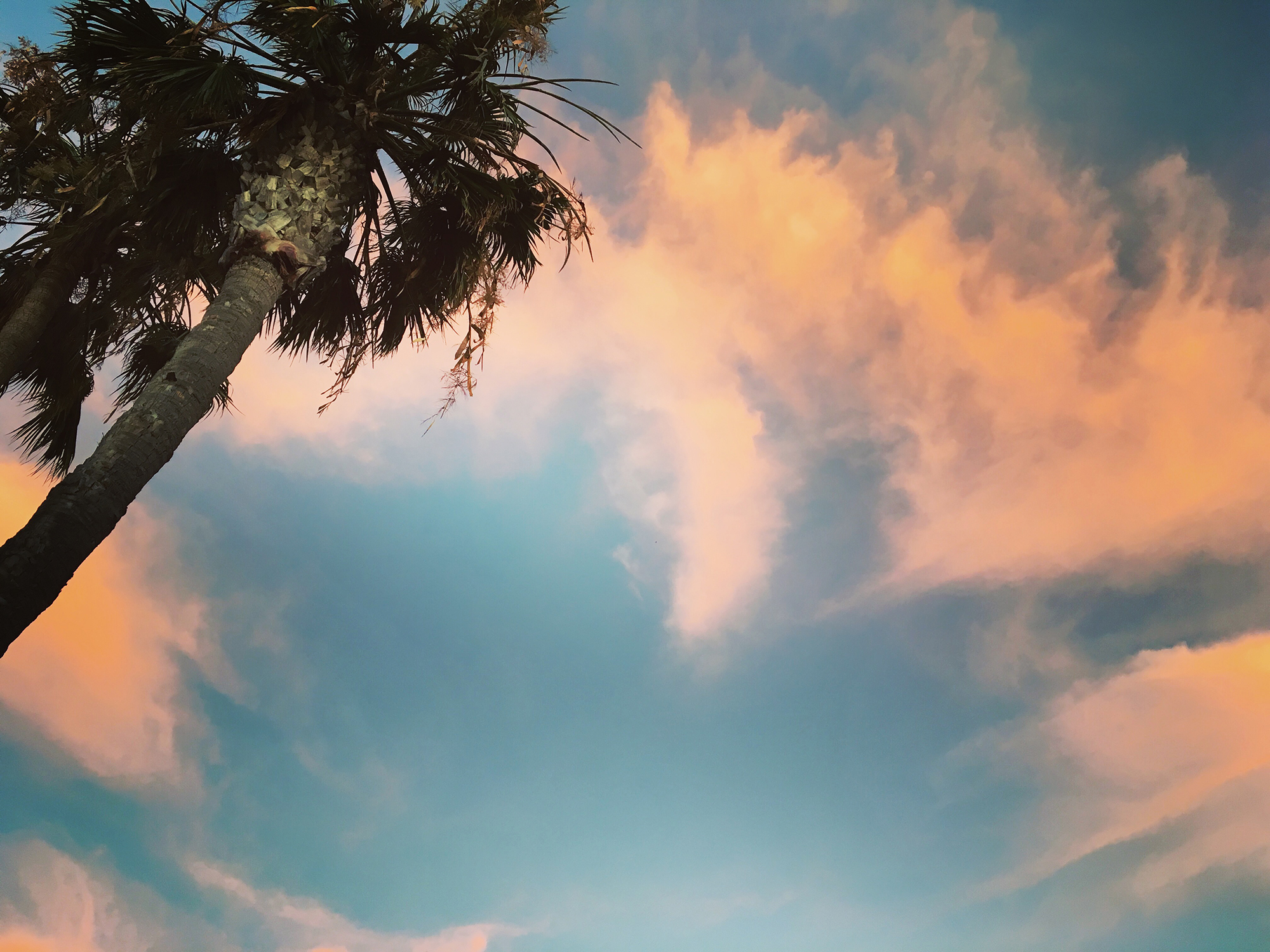 sunset.jpg