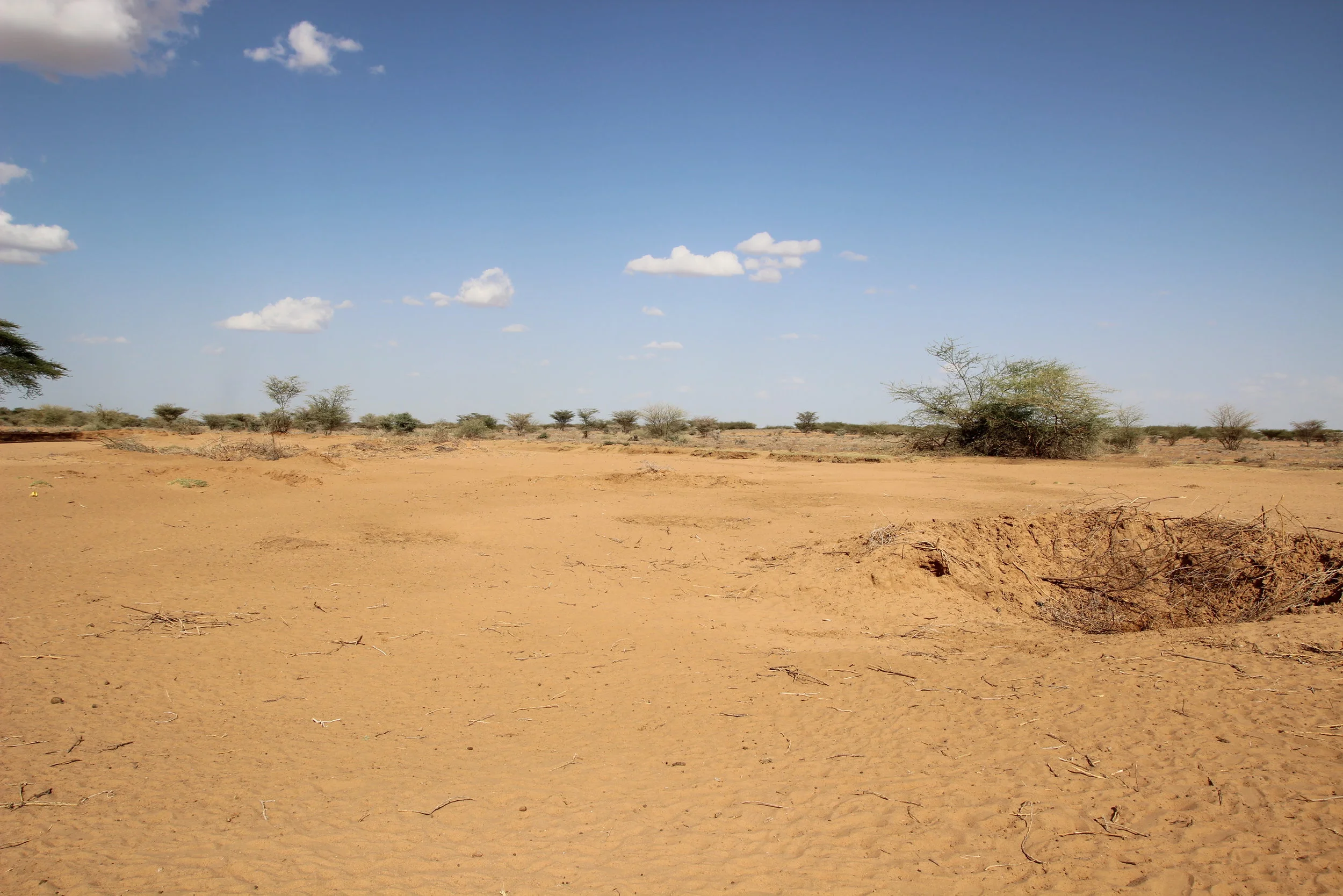 Turkana Desert.JPG