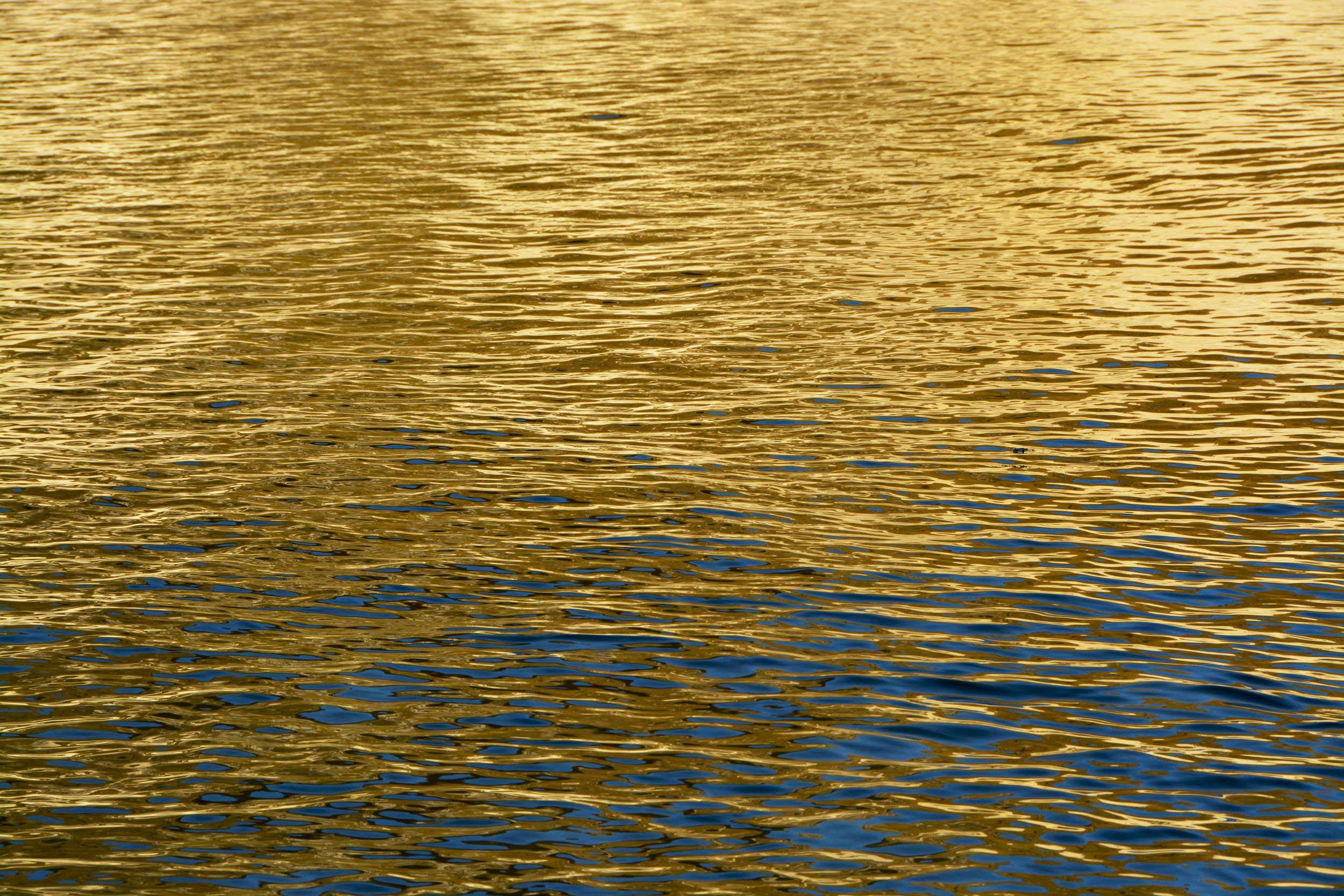 DSC_0012.jpg