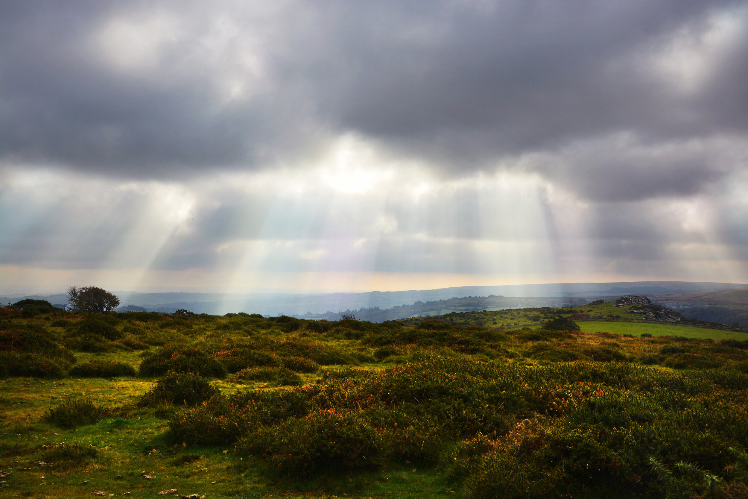 Dartmoor Sunbeams.jpg