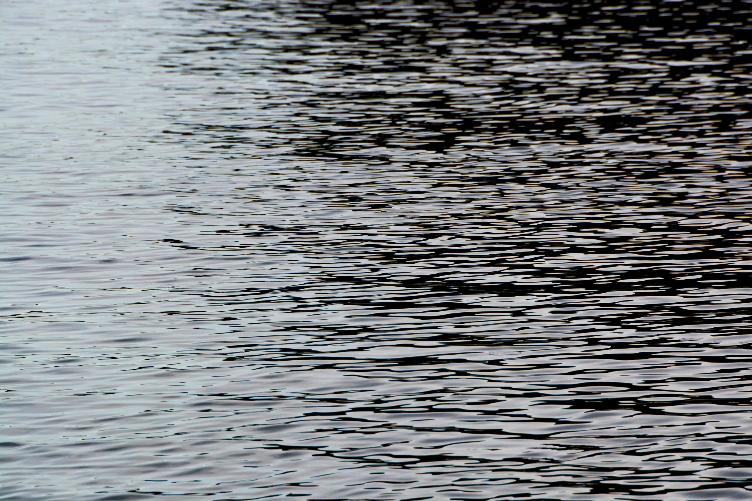 DSC_0021.jpg