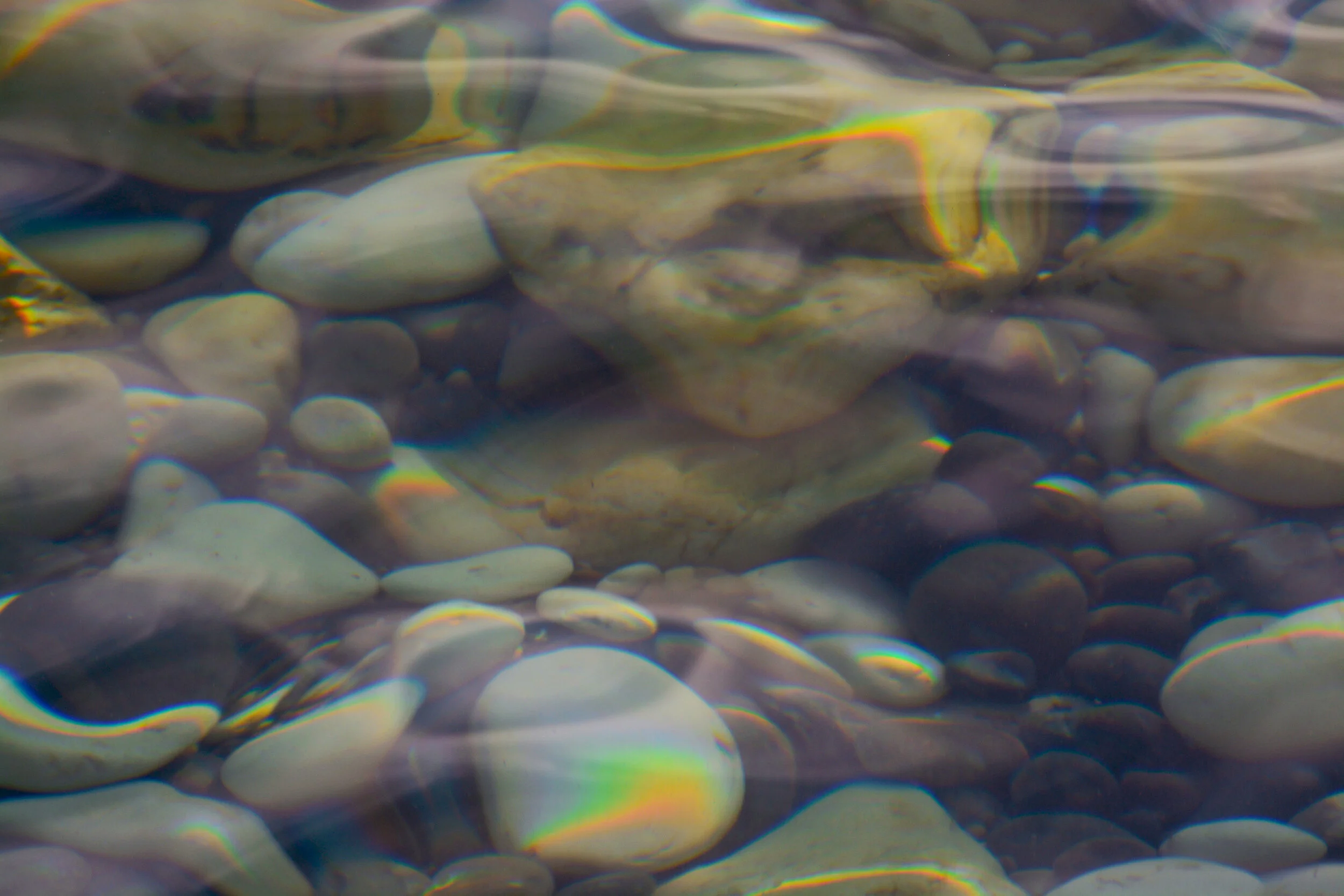 DSC_0273.jpg