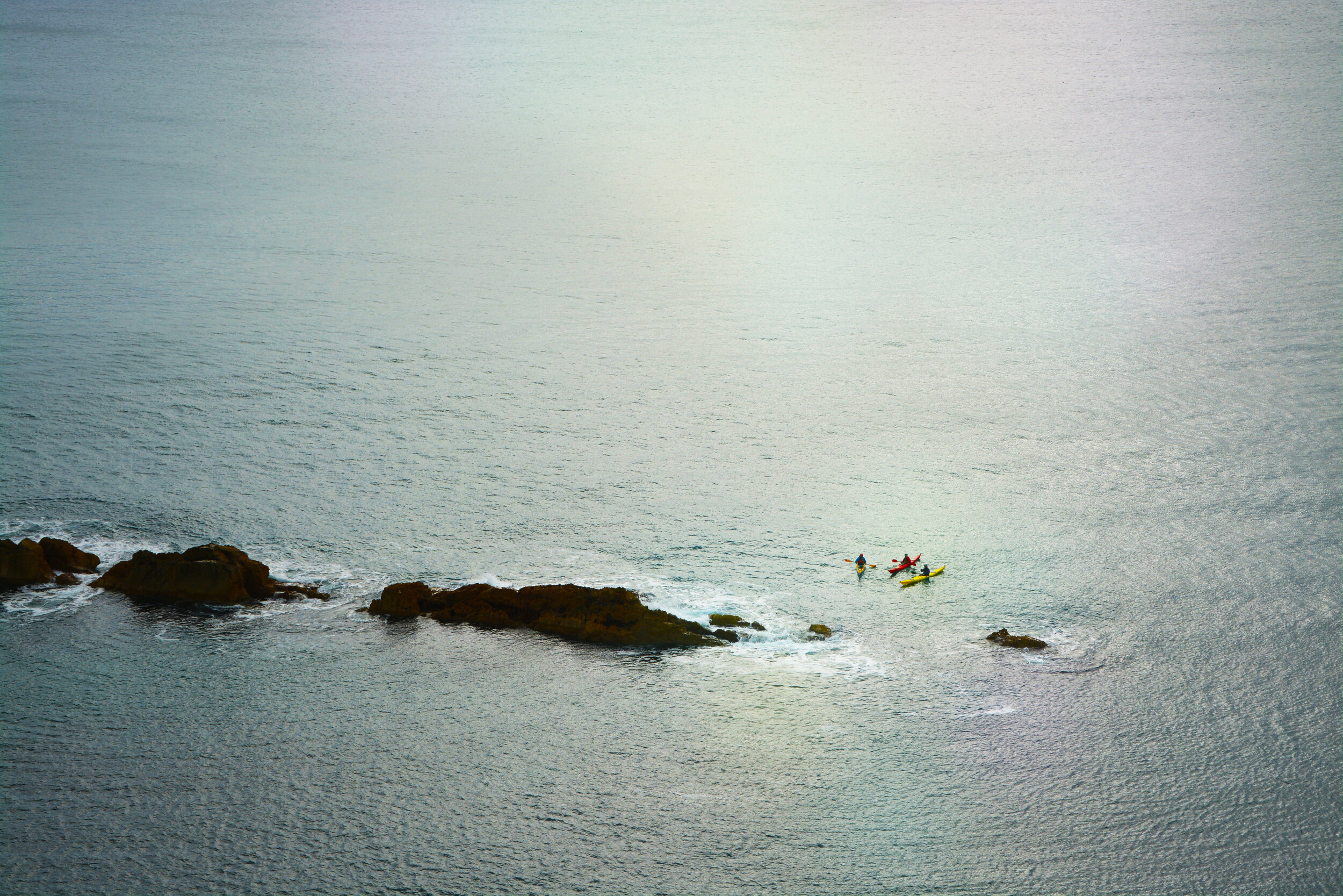 DSC_0529.jpg