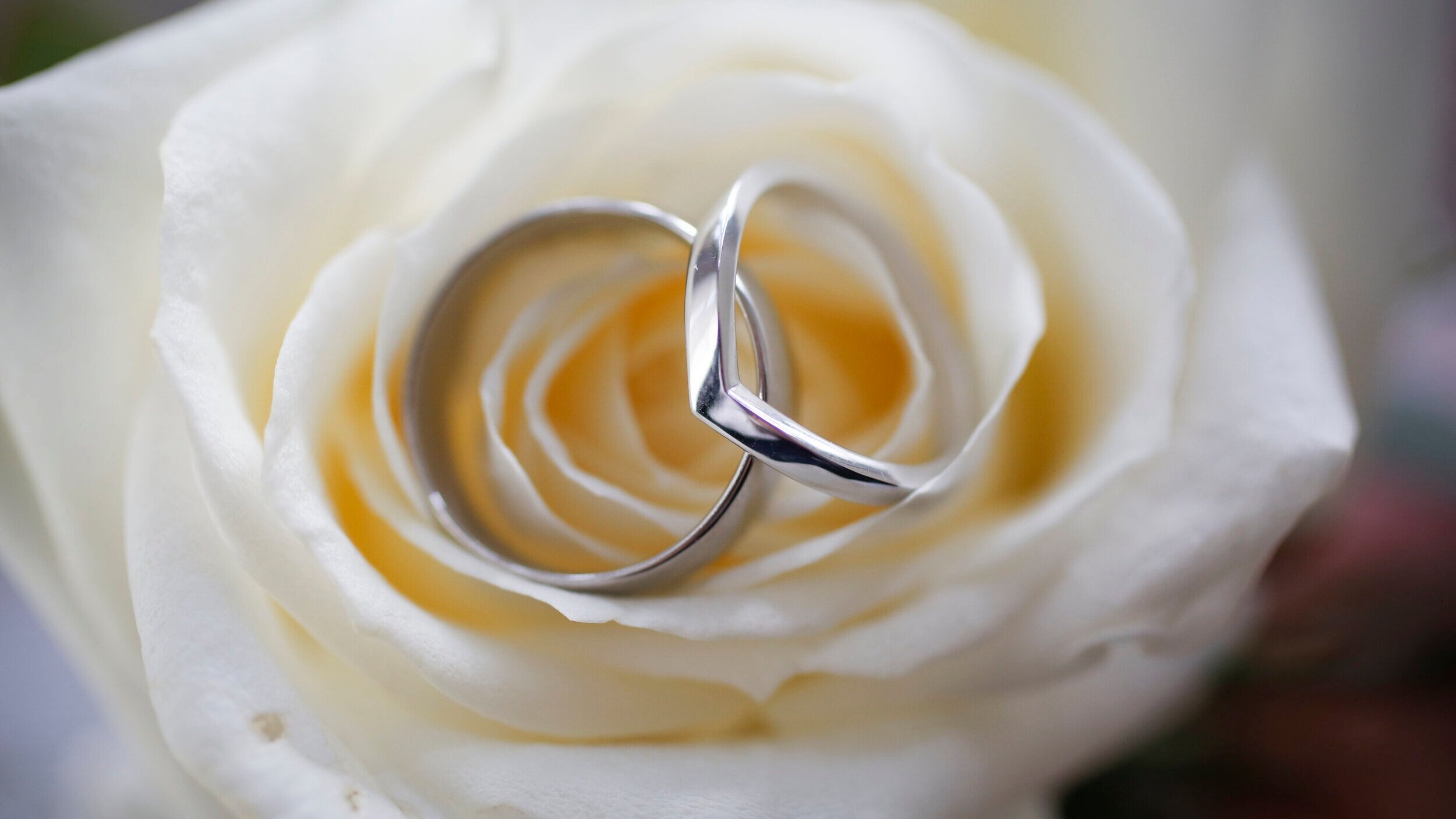 katyjaredwed-16.jpg