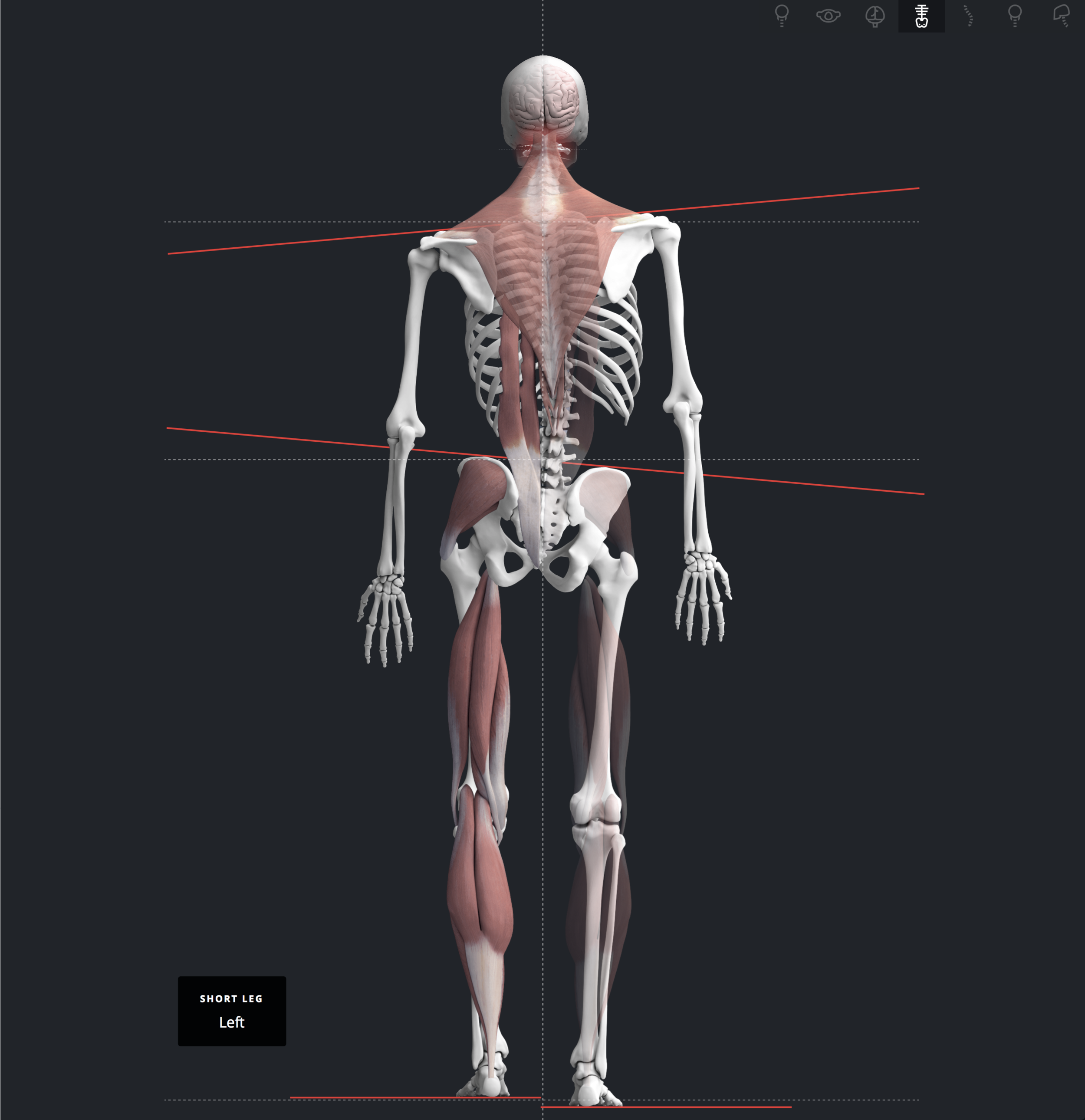 Screen Shot 2019-02-05 at 7.43.11 PM.png