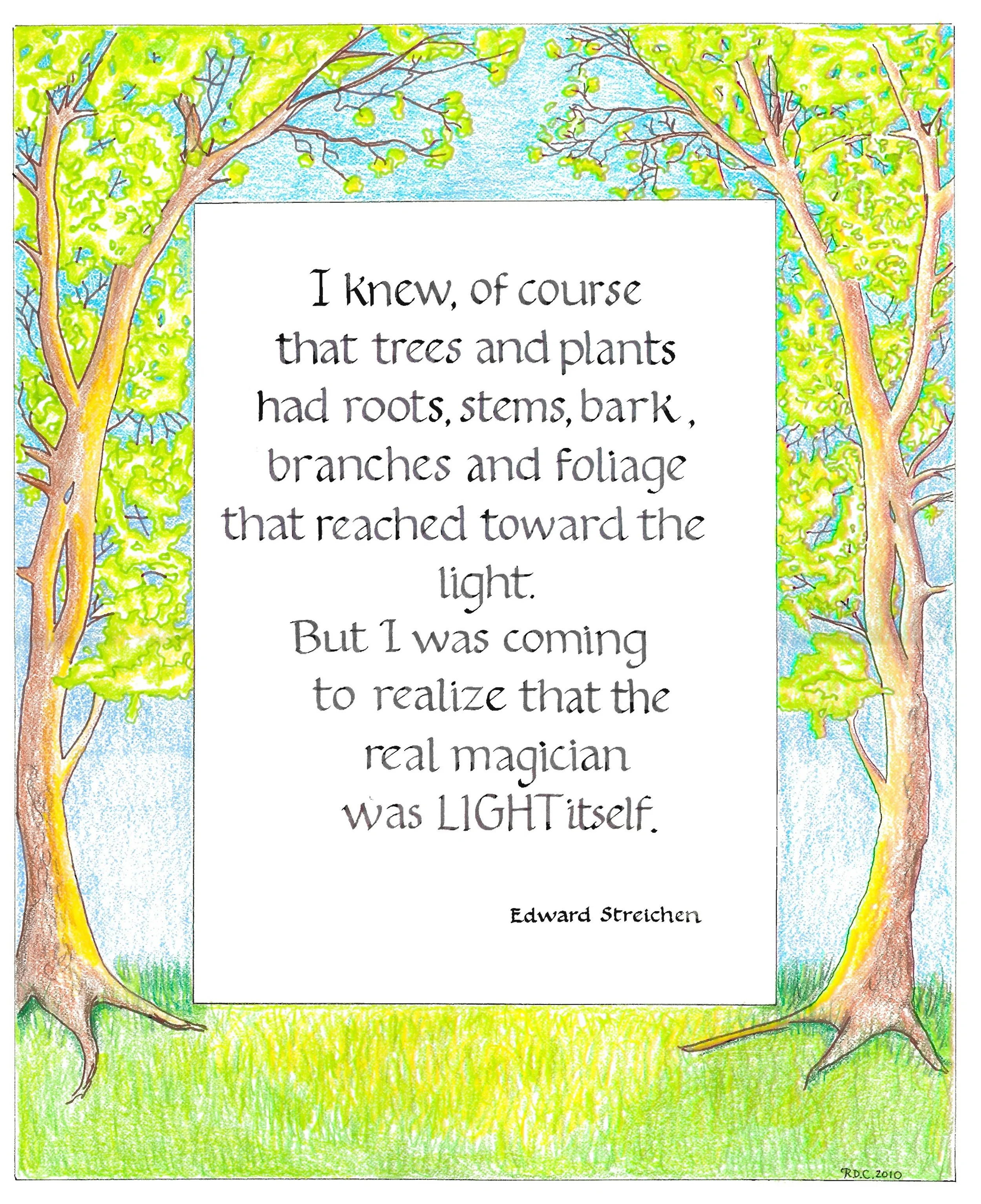 Light quote