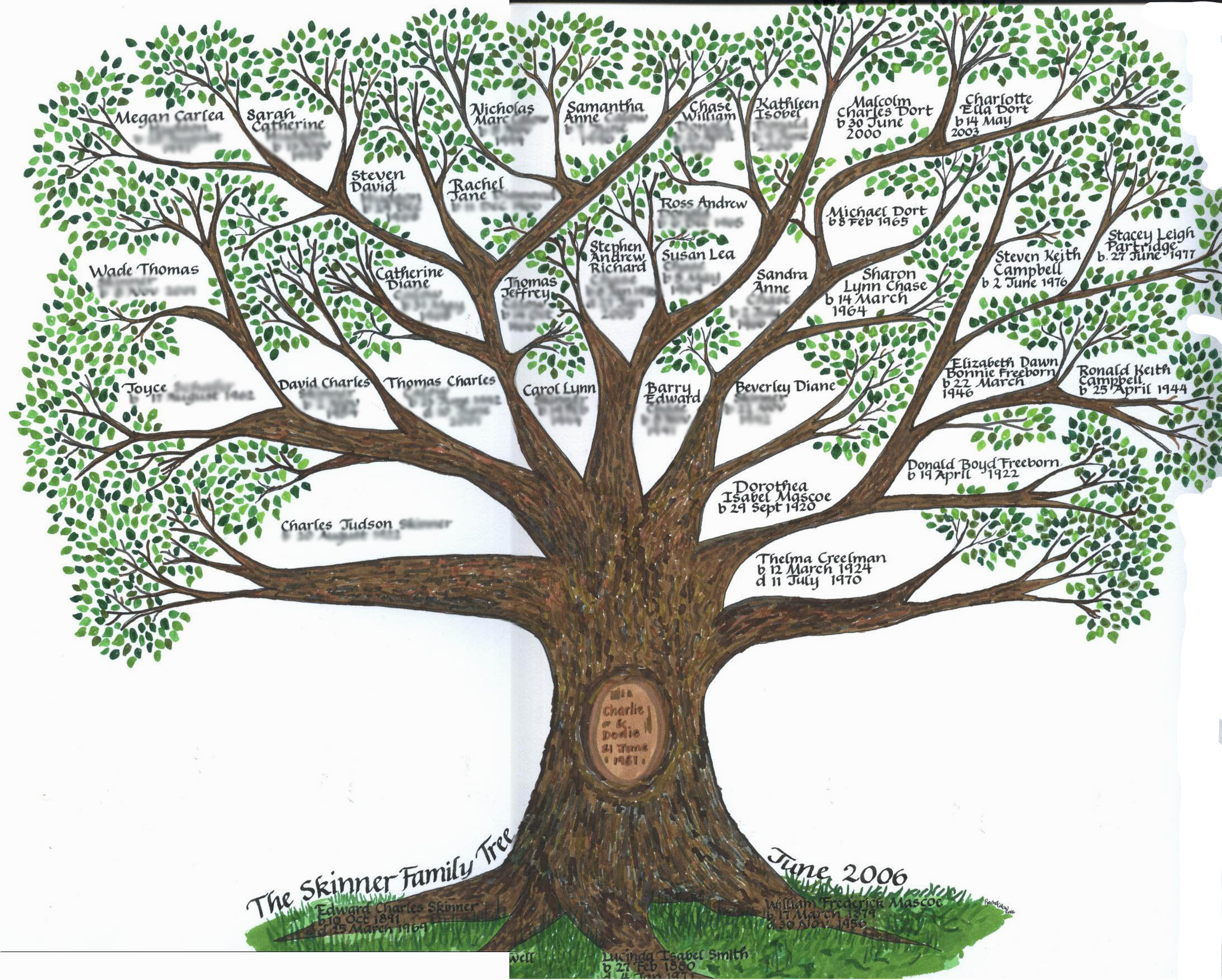Дерево жизни 2 класс. Шежере родословная. Родословное дерево Шежере. Генетическое дерево. Дерево жизни.