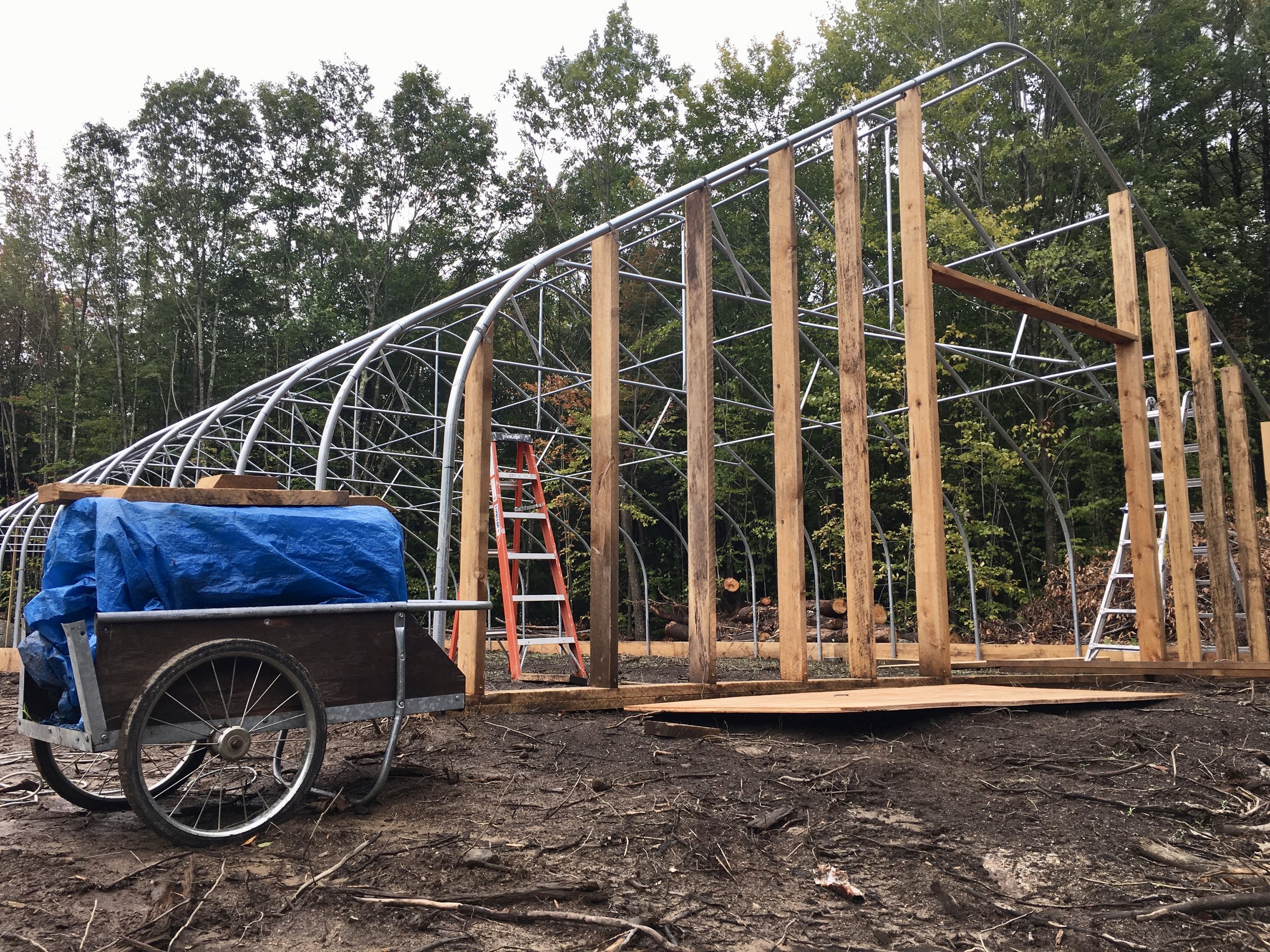 Building the greenhouse…