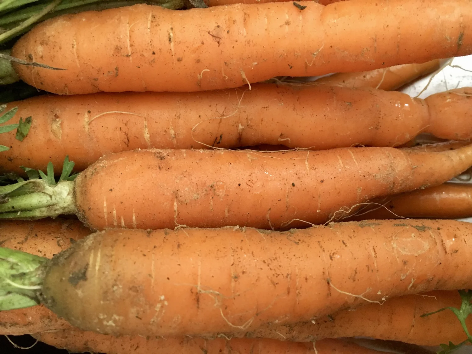 Farm To Pantry Kearsarge Food Hub
