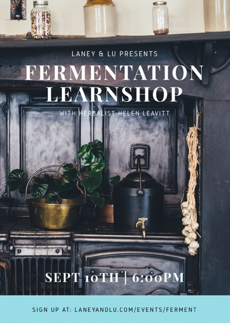 Ferment Poster.png