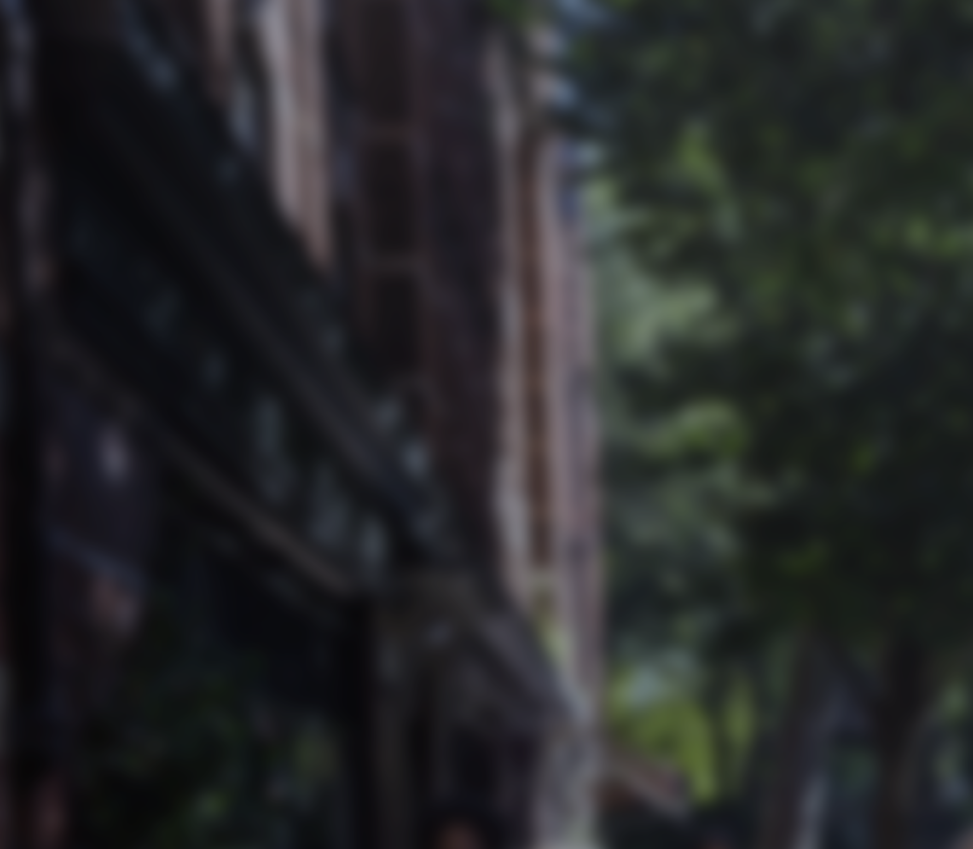 BG Landing page2.png