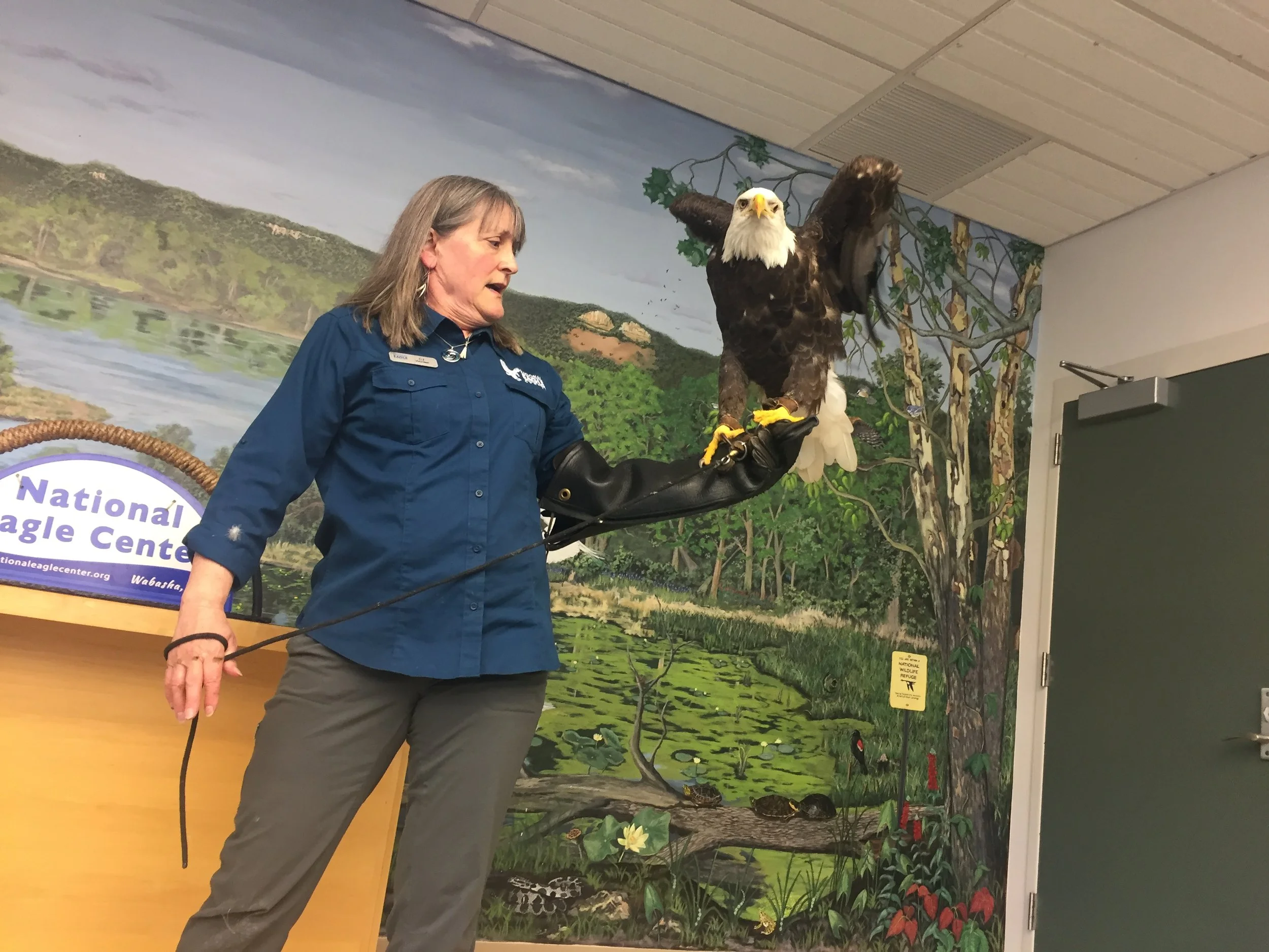 National Eagle Center, Wabasha, MN . (Home of Grumpy old Men)