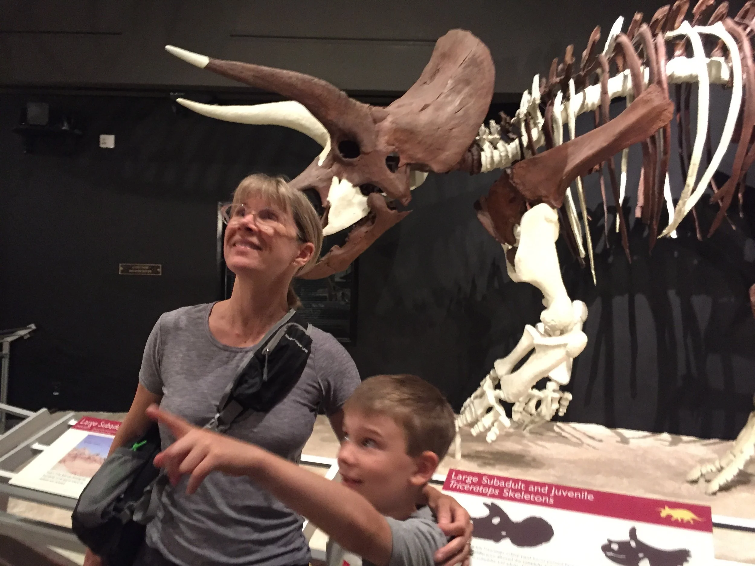 Muesum of the Rockies