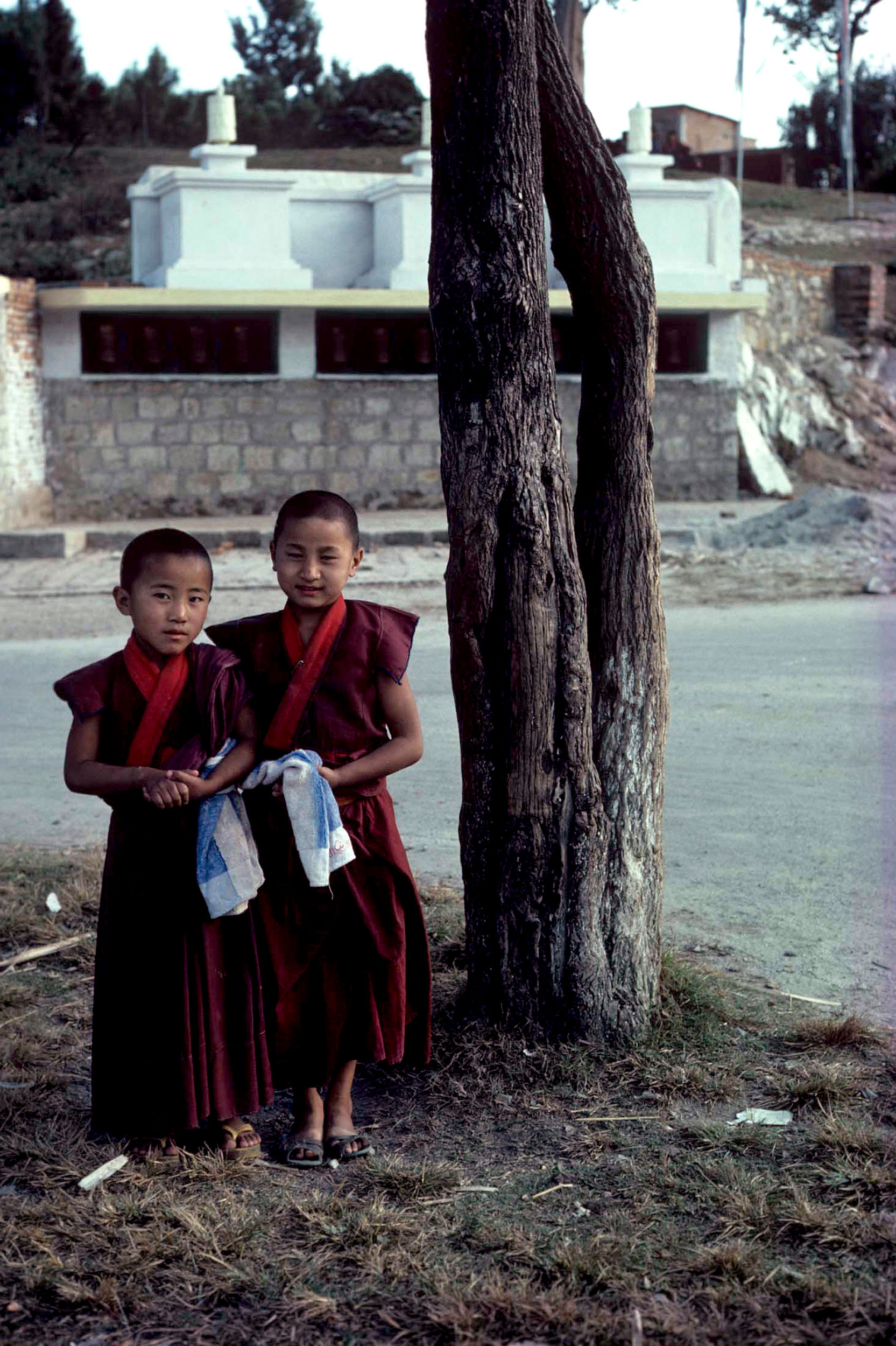 Boy Monks / Kathmandu, Nepal