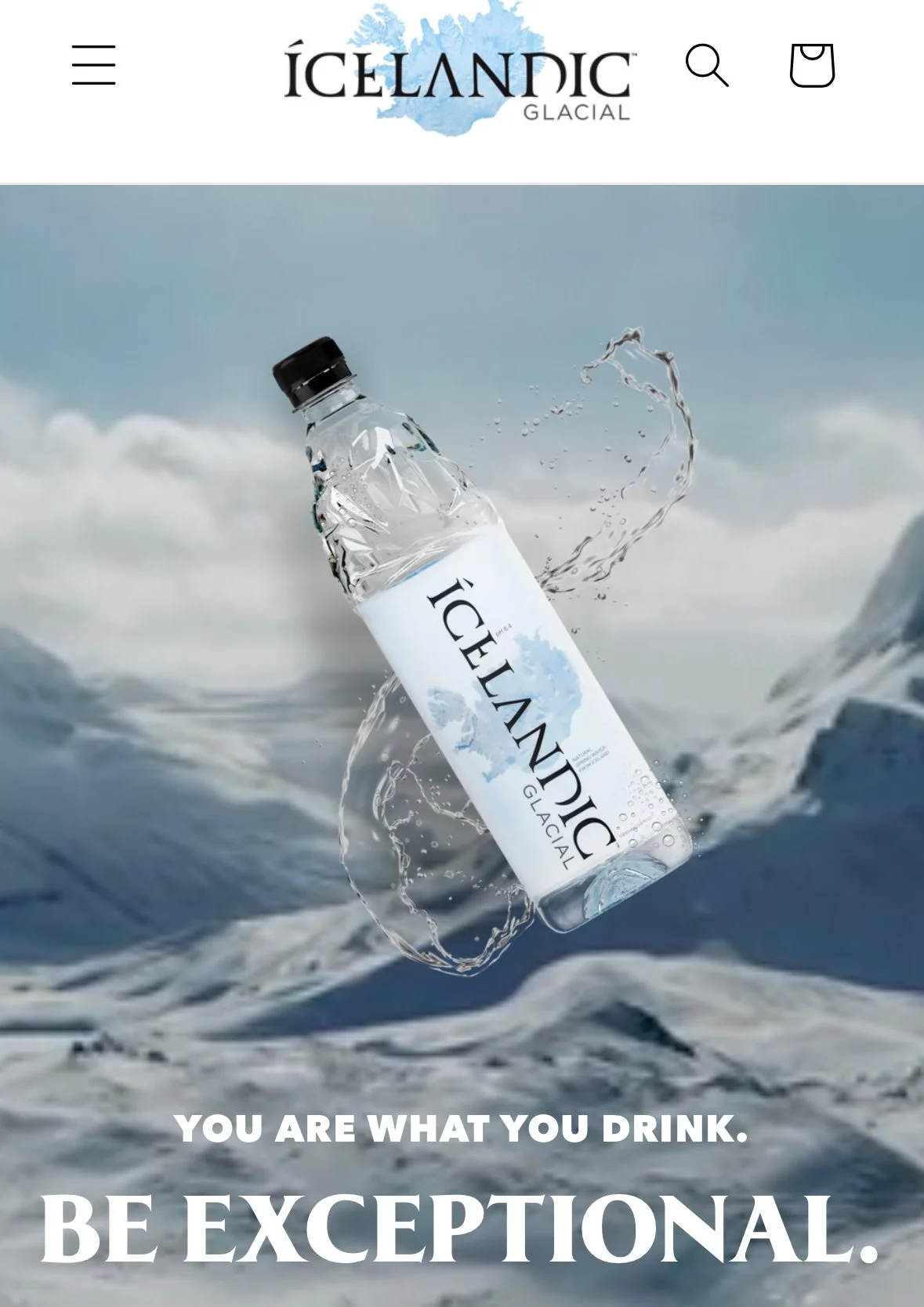 Director 2024 to present