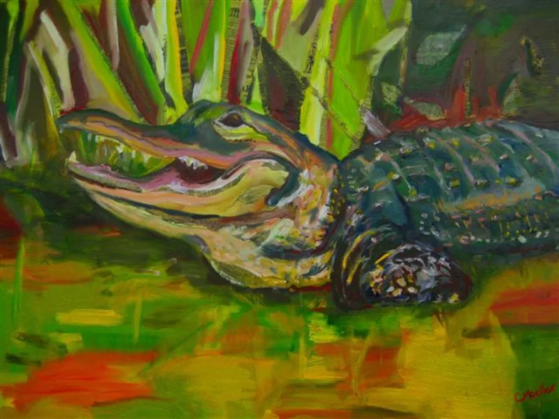 Gator_o.jpg