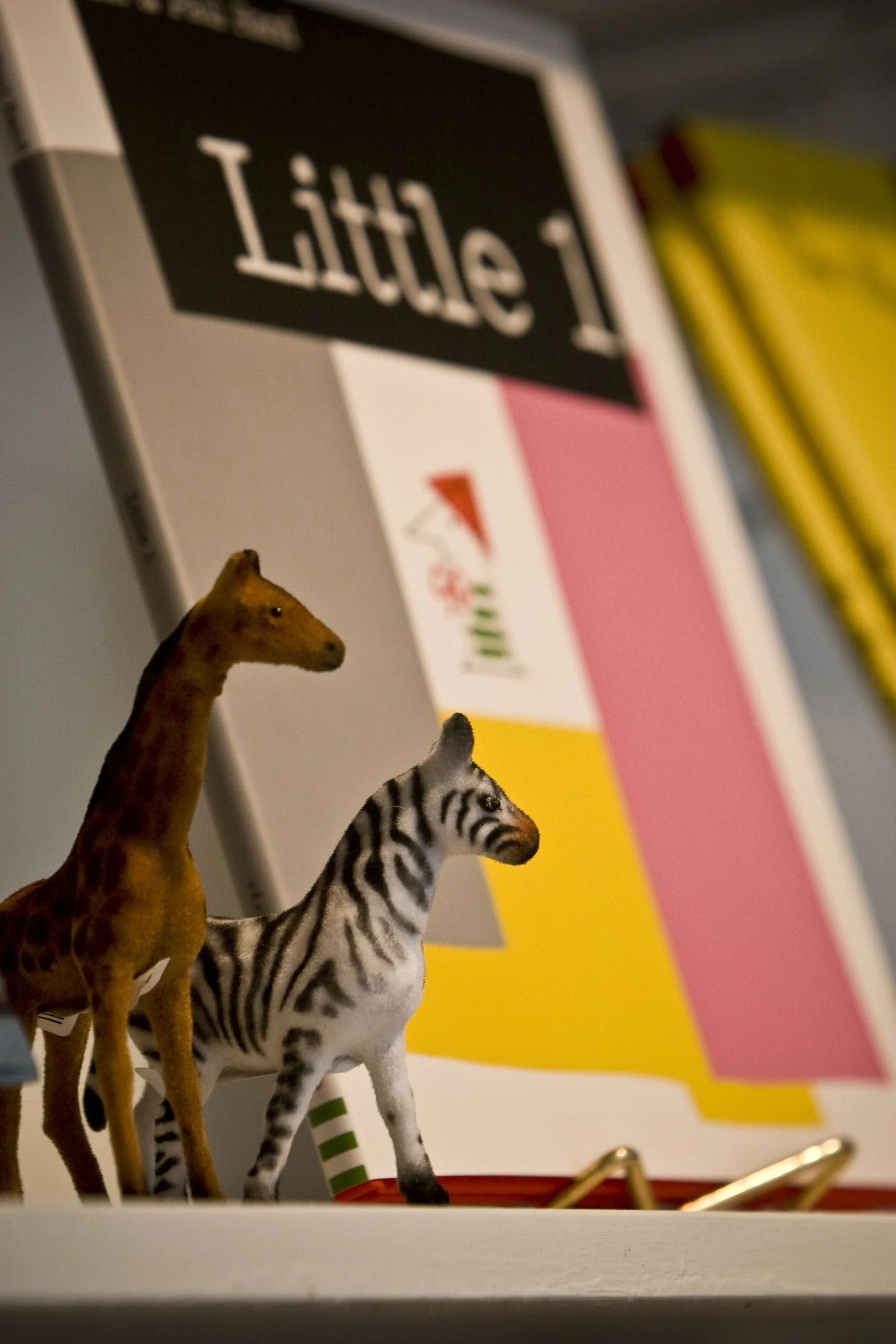 photo styling for retail store