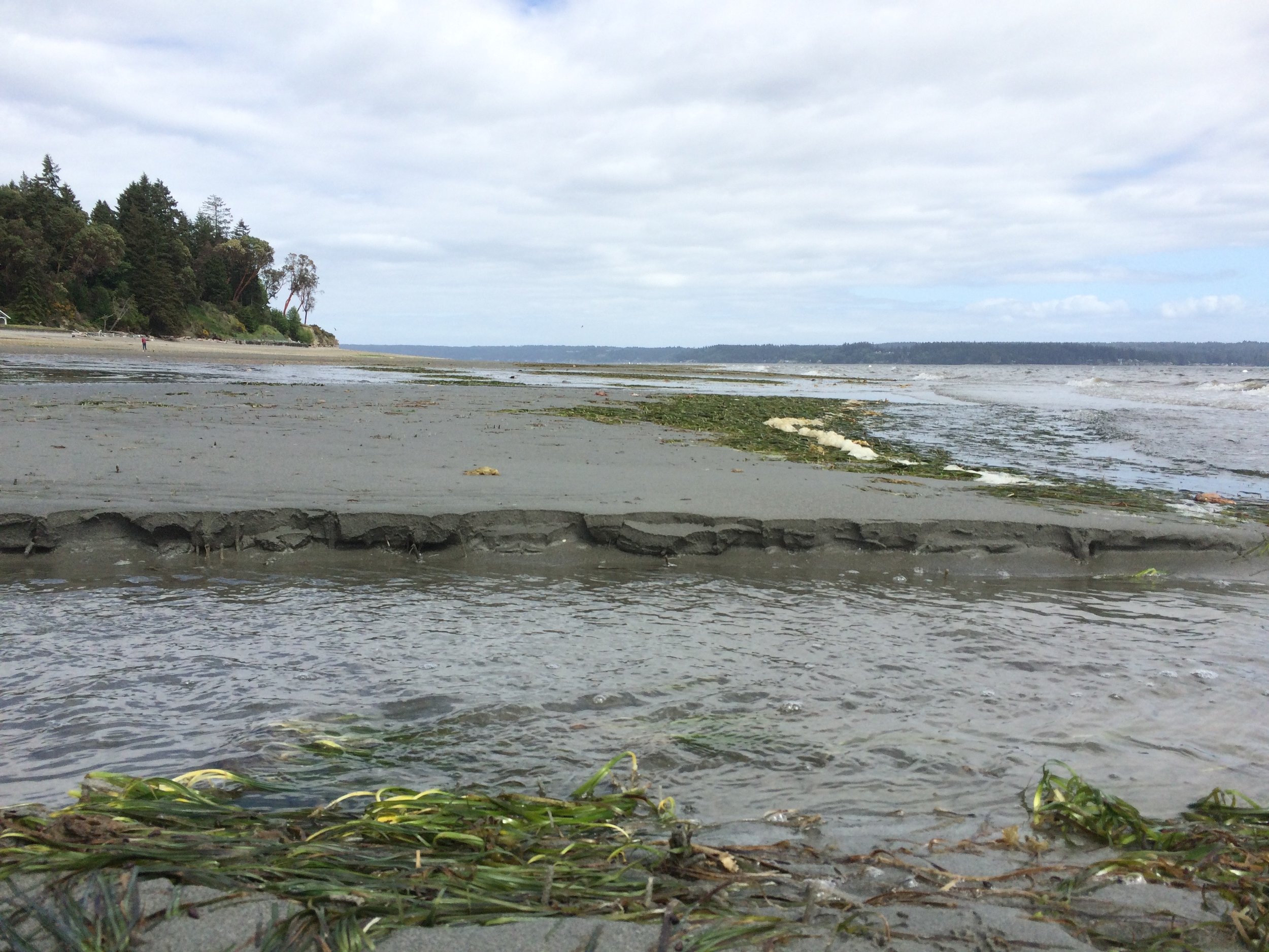 Summer low tide