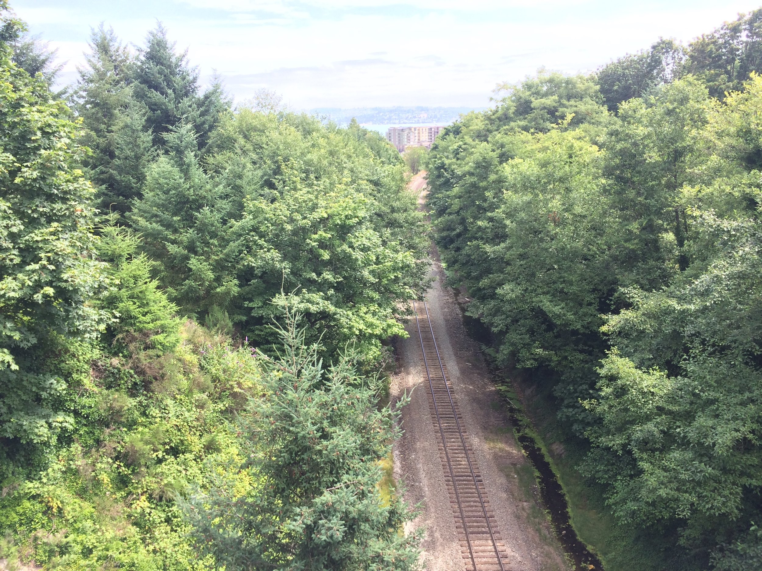 Tracks through Rust Park (Copy)