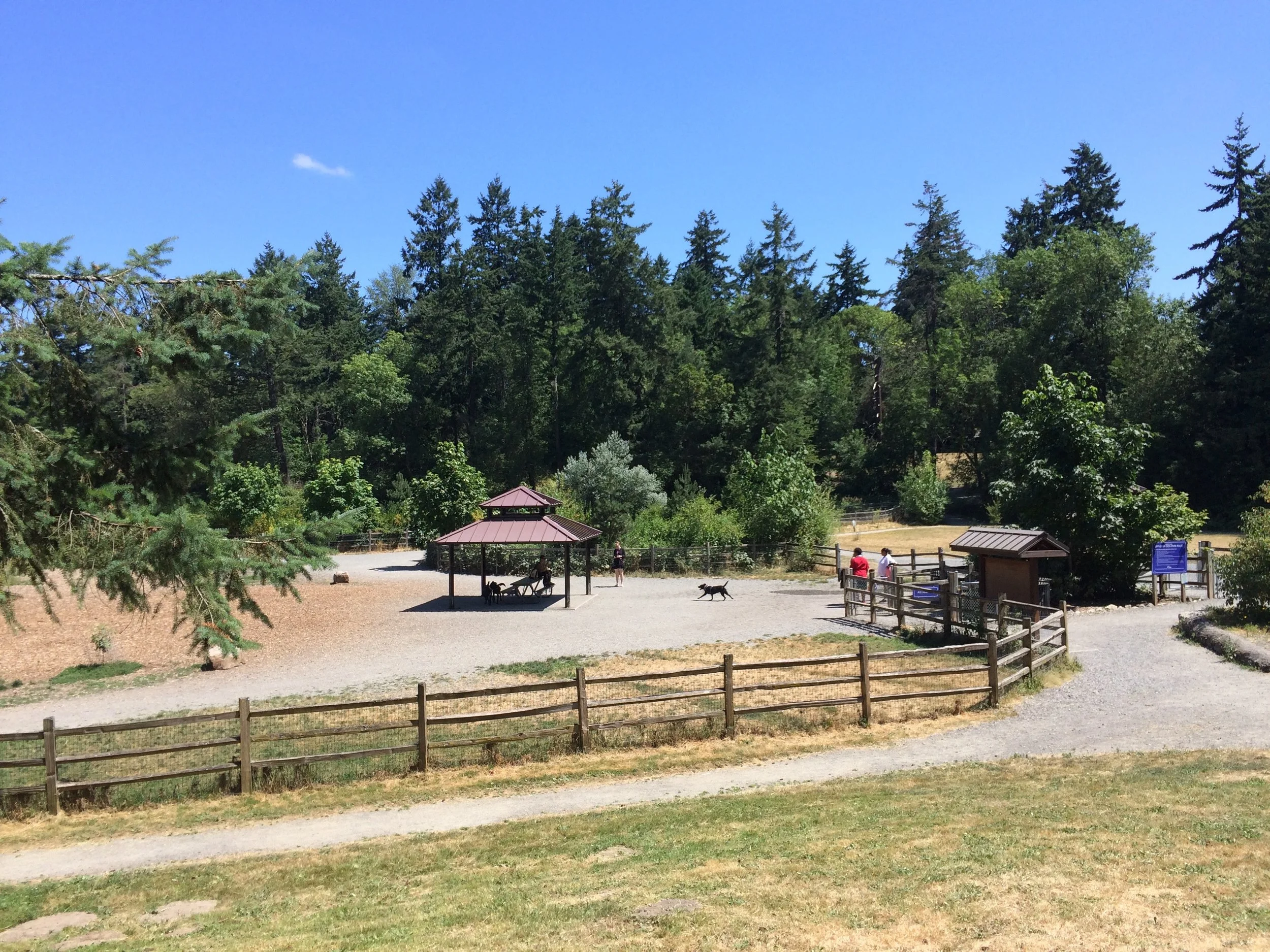 View of the All Dogs area with Small Dogs enclosure in the background.