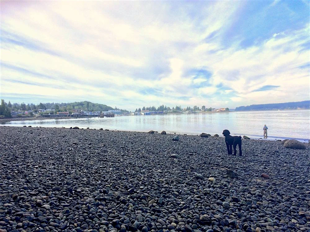 Titlow Beach Park is a lovely place to dine and take a walk on the water. Beachside restaurants include Steamer's seafood and the Beach Tavern.