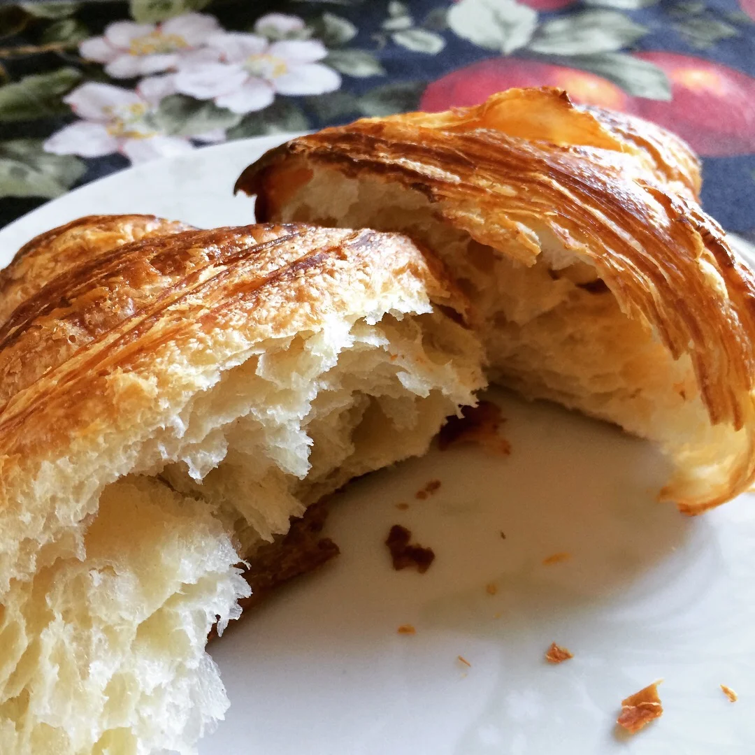 New Business Spotlight: Alegre Bakery & Gelato