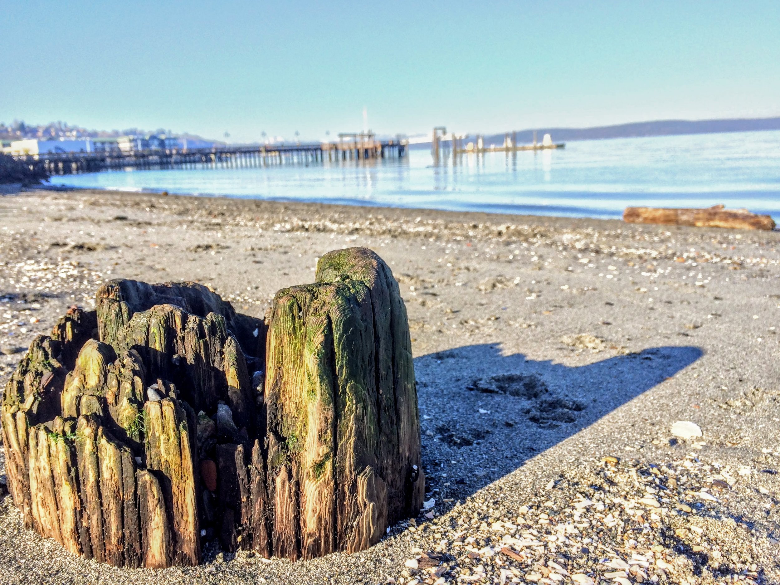 Sandy Old Town Beach (Copy)