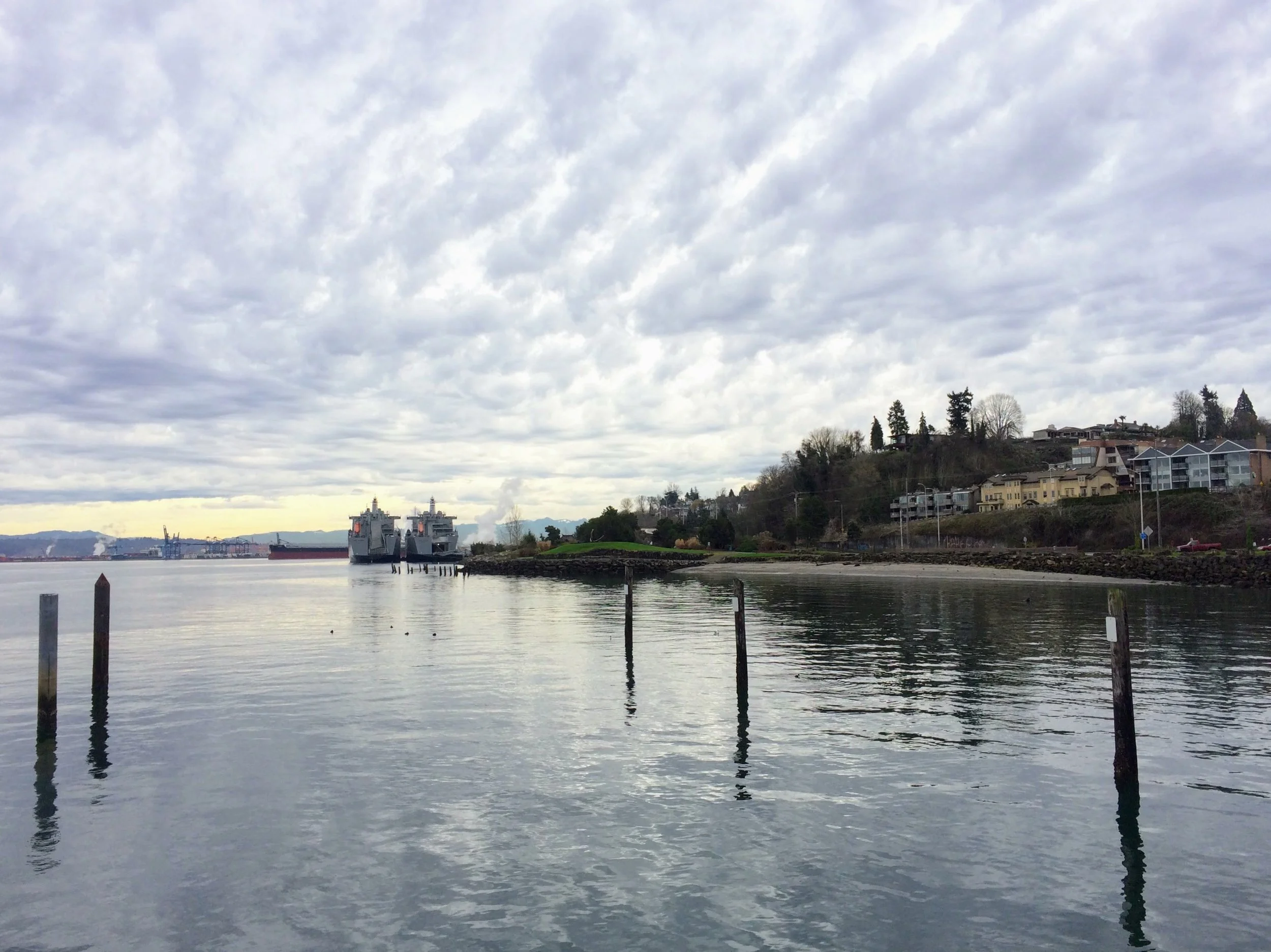 Looking south to the Port from Old Town Dock