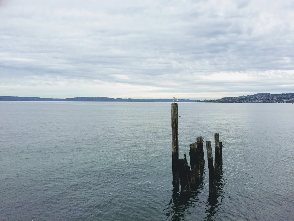 Eastward Across Commencement Bay