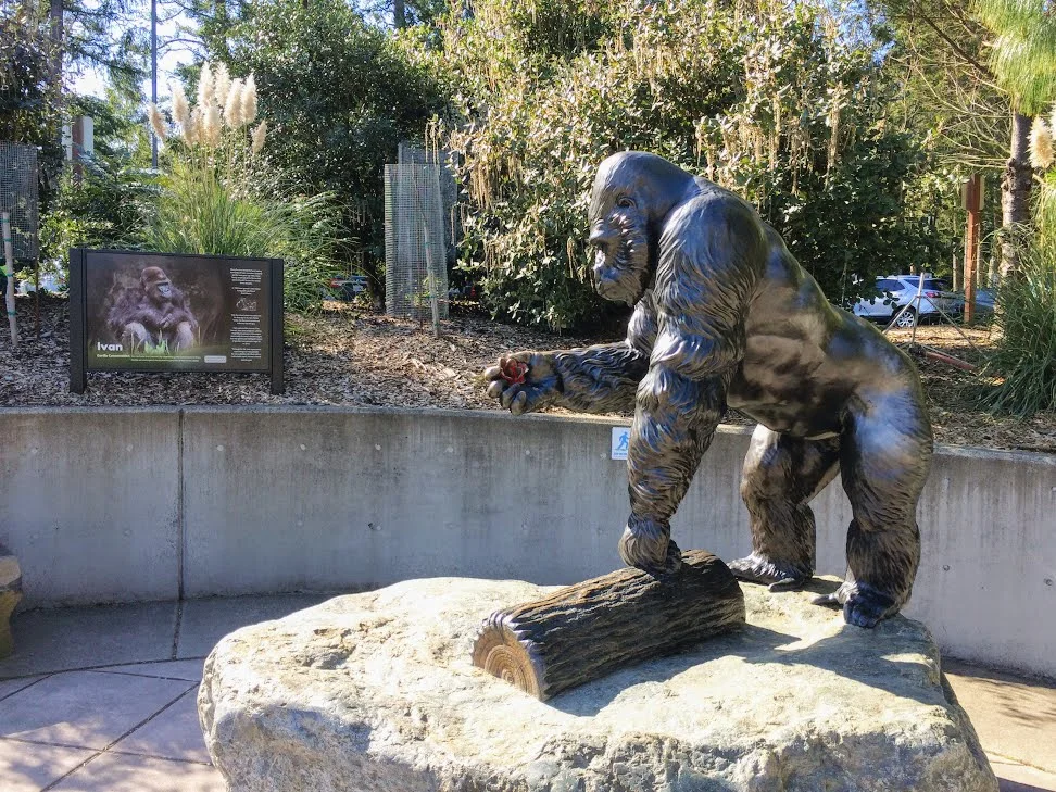 Tacoma's Beloved Ivan (Copy)