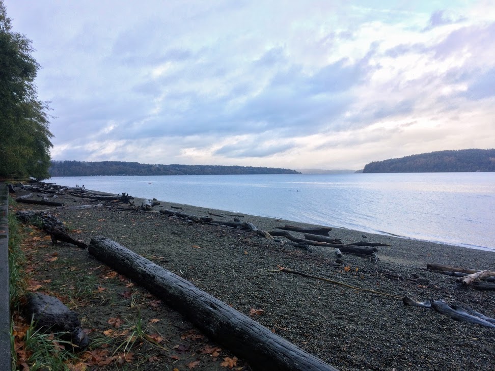 Winter at Owen Beach