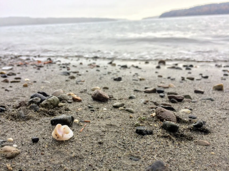 Owen Beach (Copy)