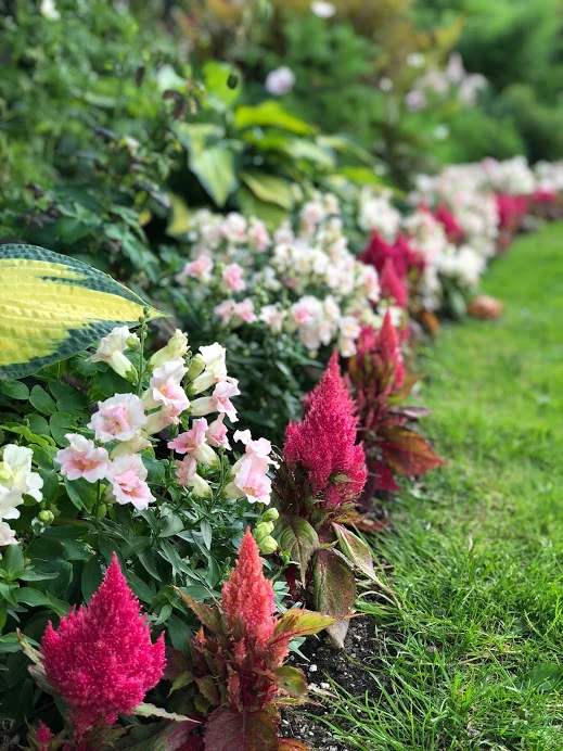 Just a glimpse of the beauty of Wright Park.