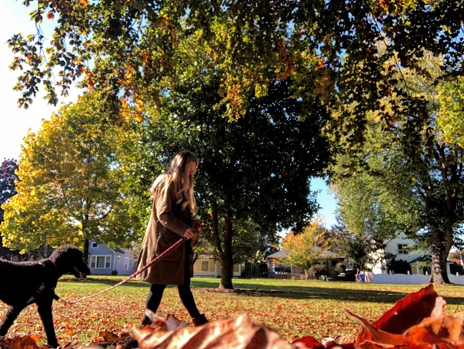 Lincoln Park on a bright October day