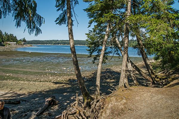 Image from Washington State Parks - A glimpse of the beach at Manchester State Park, just 7 miles from home.