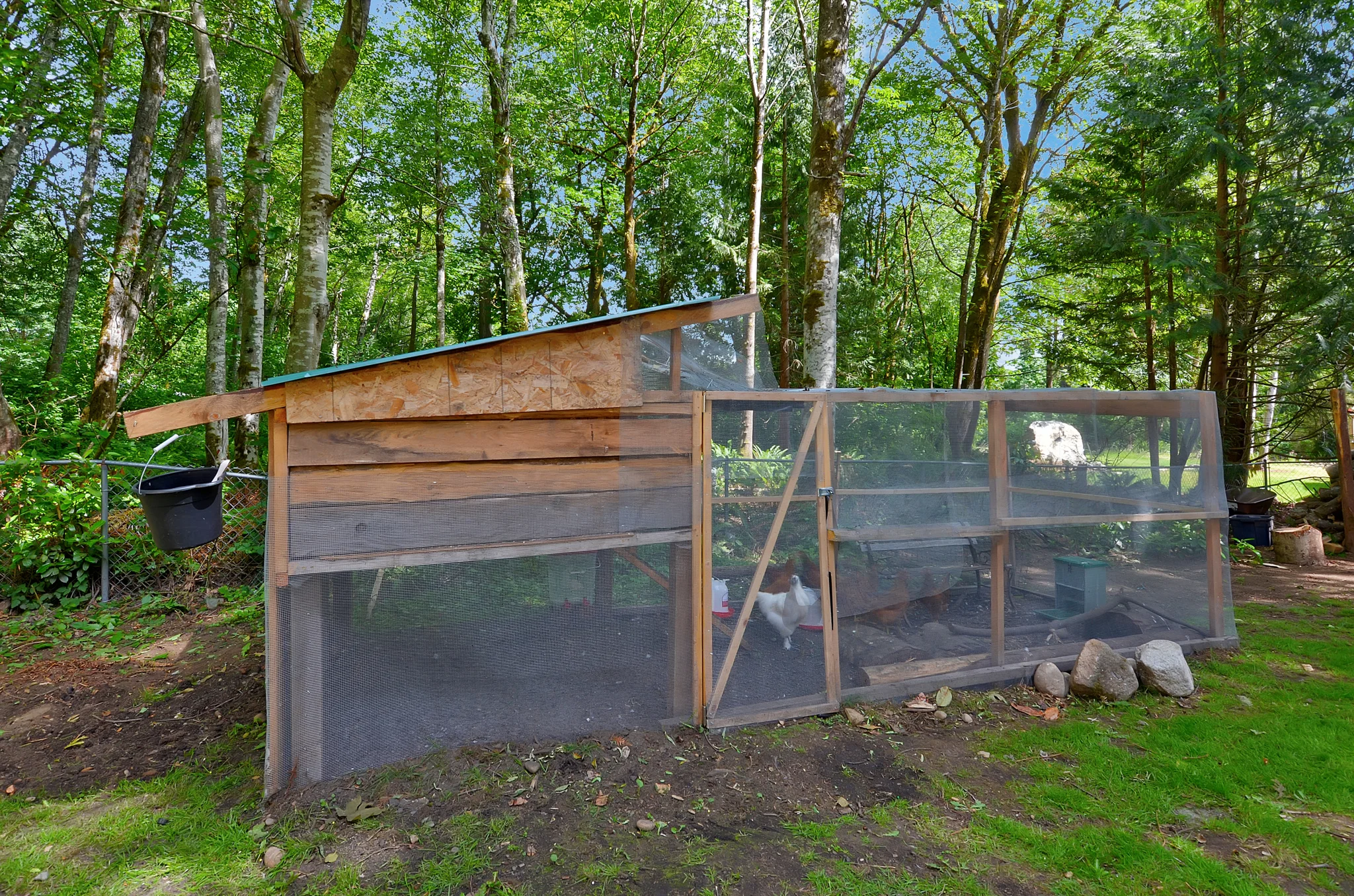 There's even room for a chicken coop back here! If you have pets, there's definitely space for them on this 0.75 acre lot.
