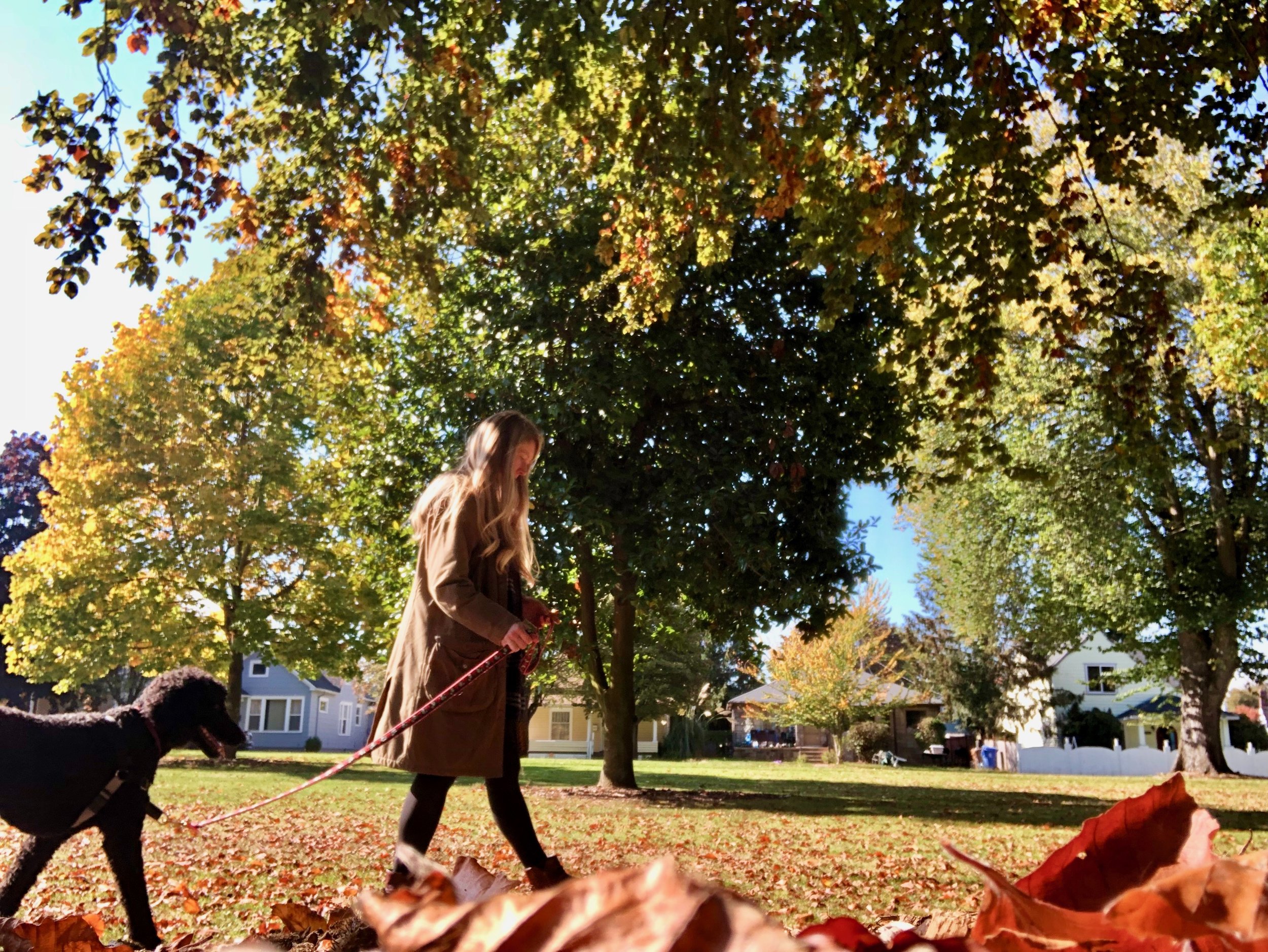 The October Edition: 25 Tacoma Events