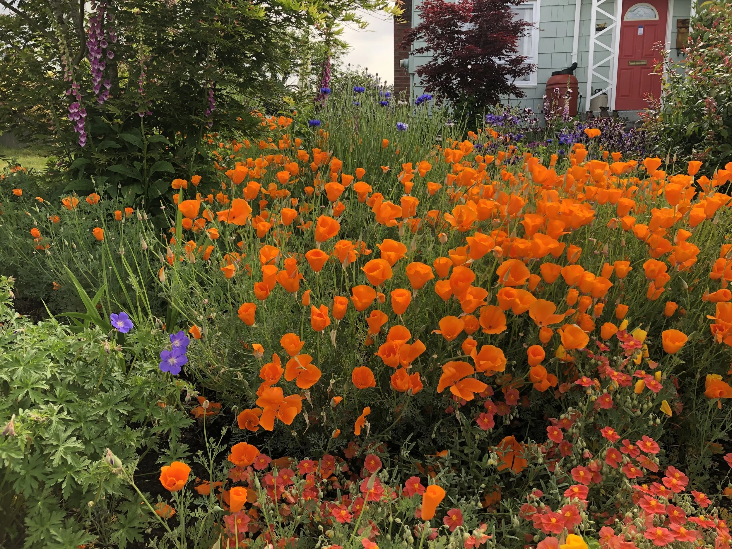 Staying Together, Keeping Apart: 15 Things To Do in Tacoma in June