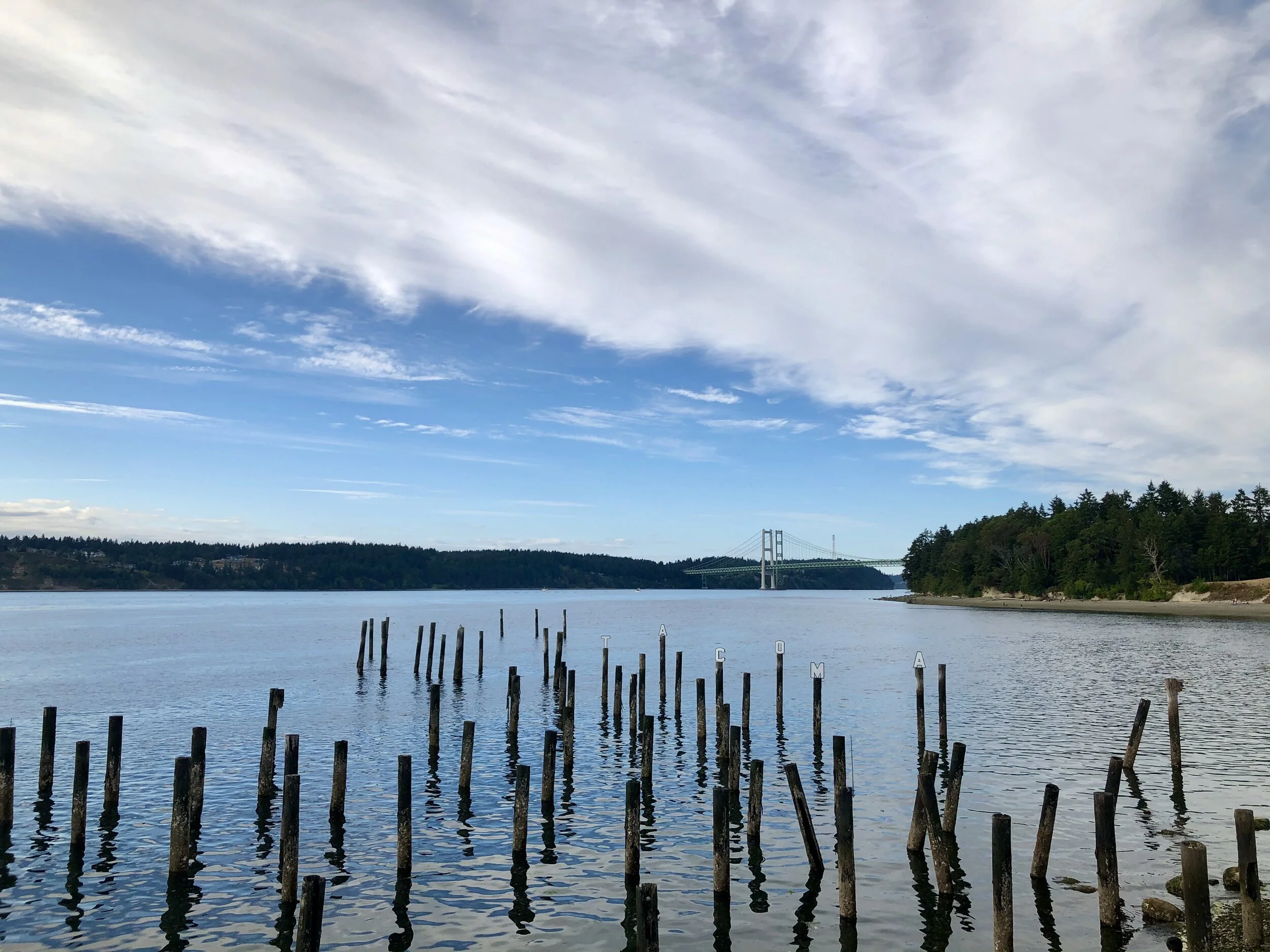 Tacoma Community: 10 Ways to Connect in September