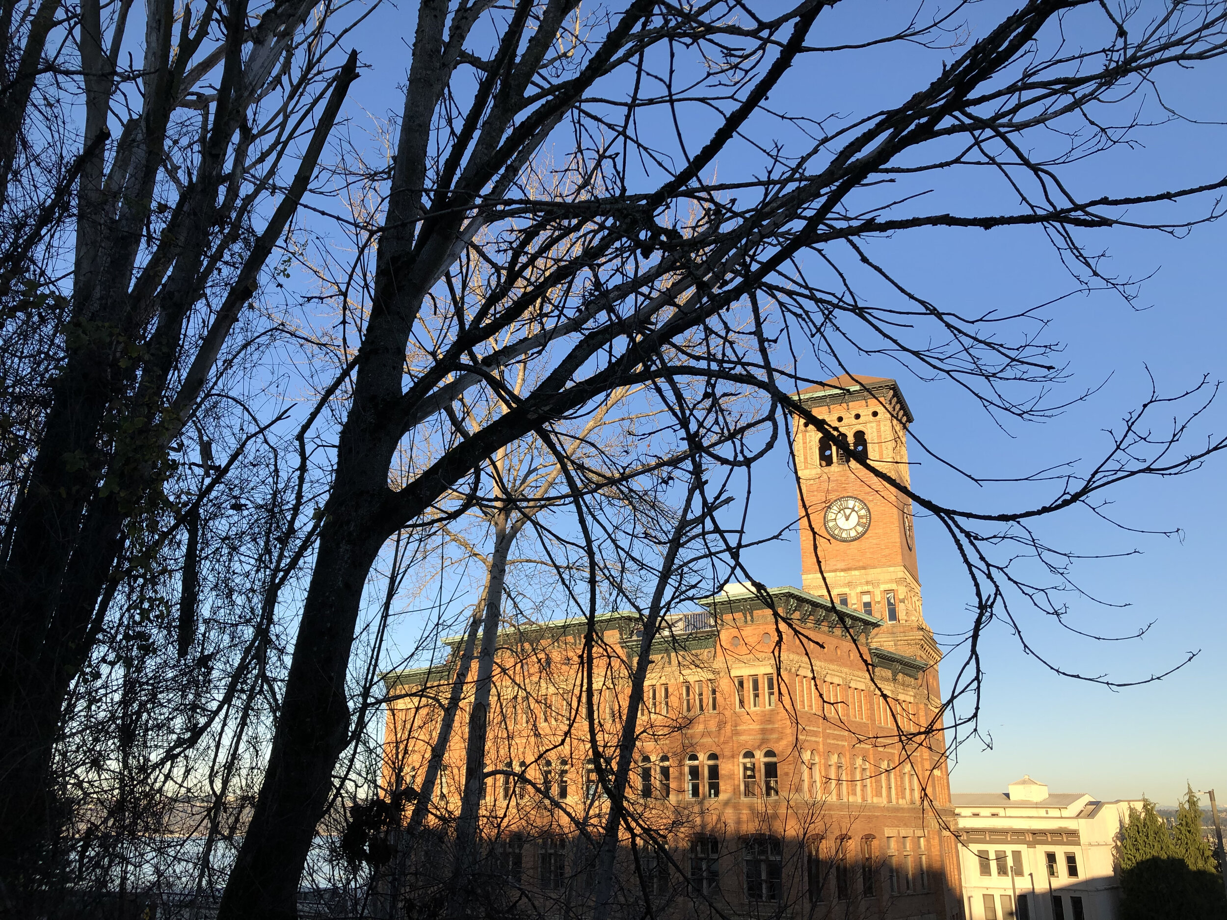 Connect to Community: This Week in Tacoma