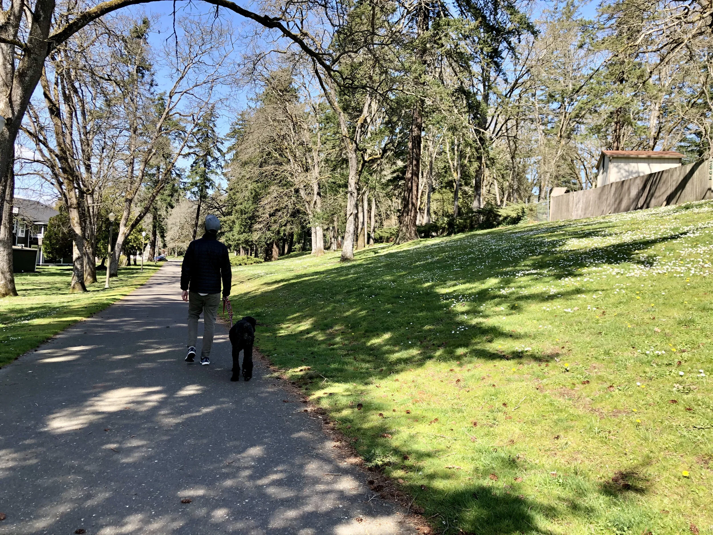 Connect to Tacoma: So Many May Events!