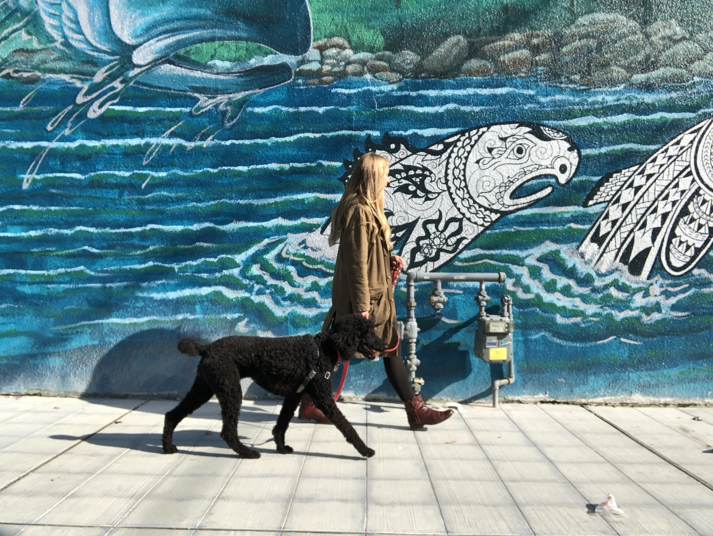 Life in Tacoma 2022: 5 Ways to Create Belonging