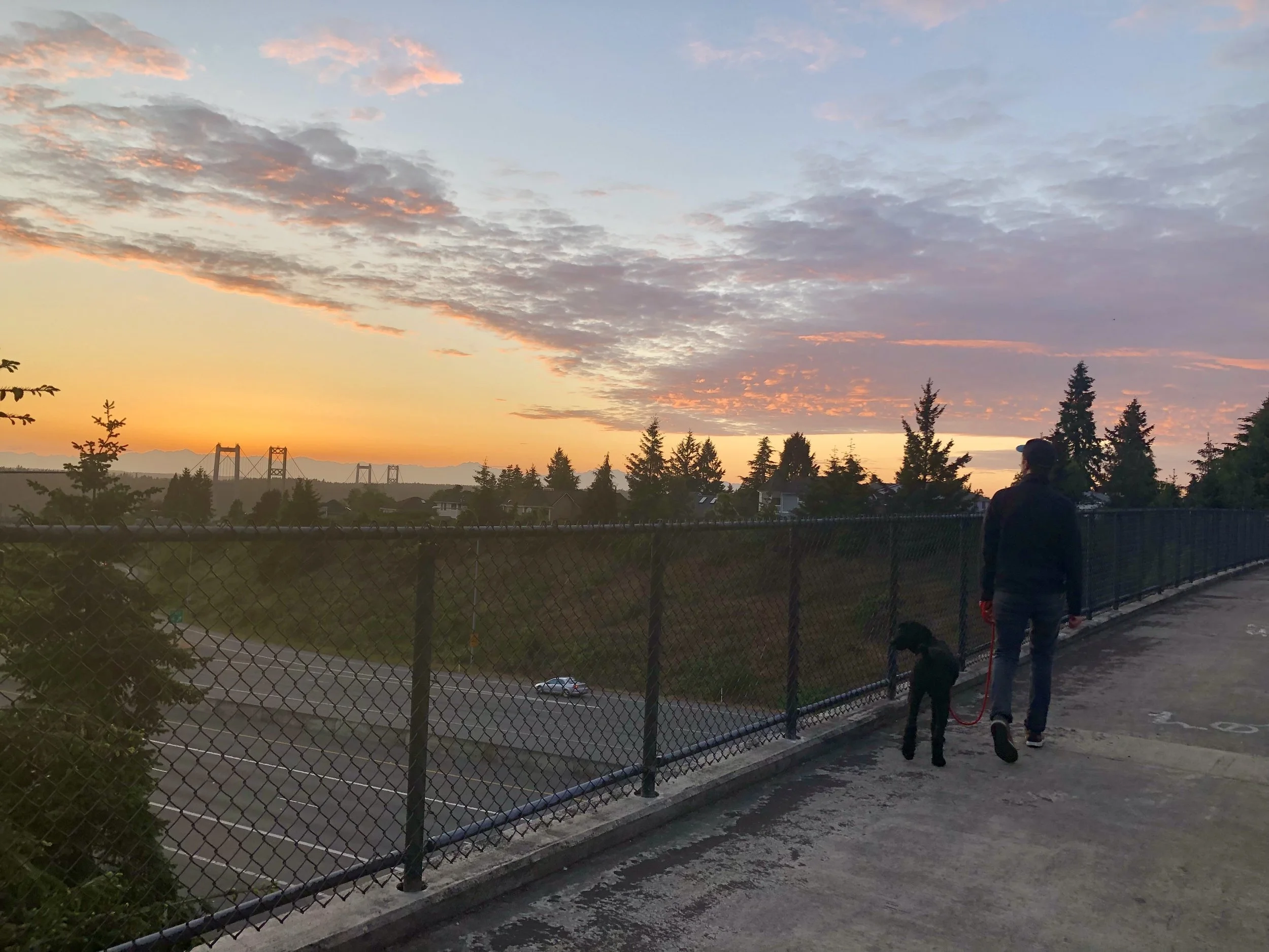 Tacoma Love: 5 Good Things