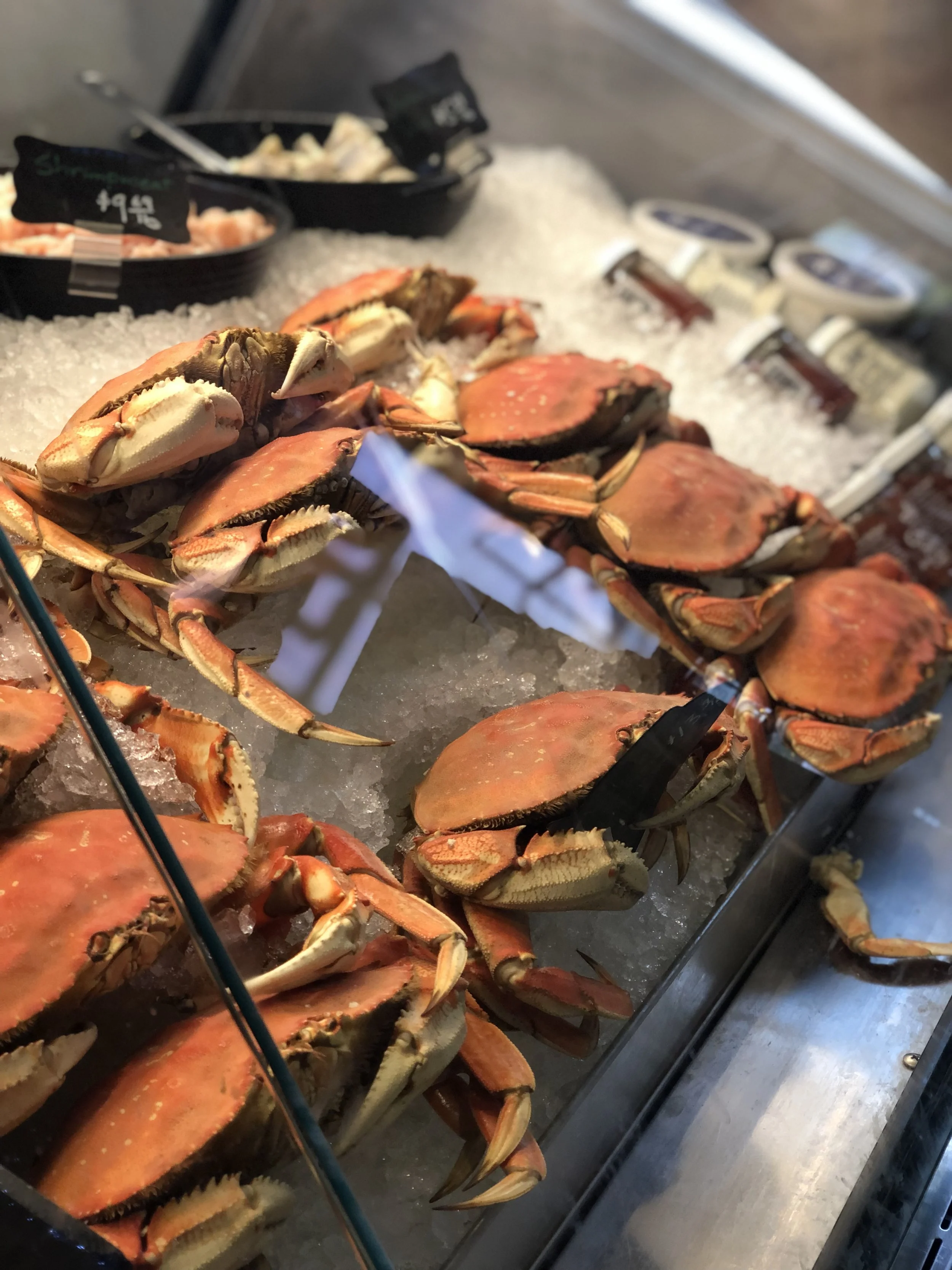 Northern Fish Co Old Town.jpeg