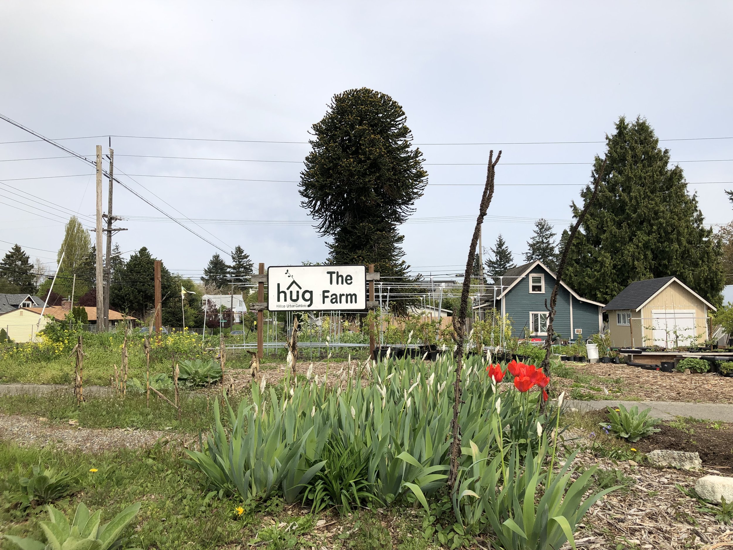 Hilltop Urban Gardens