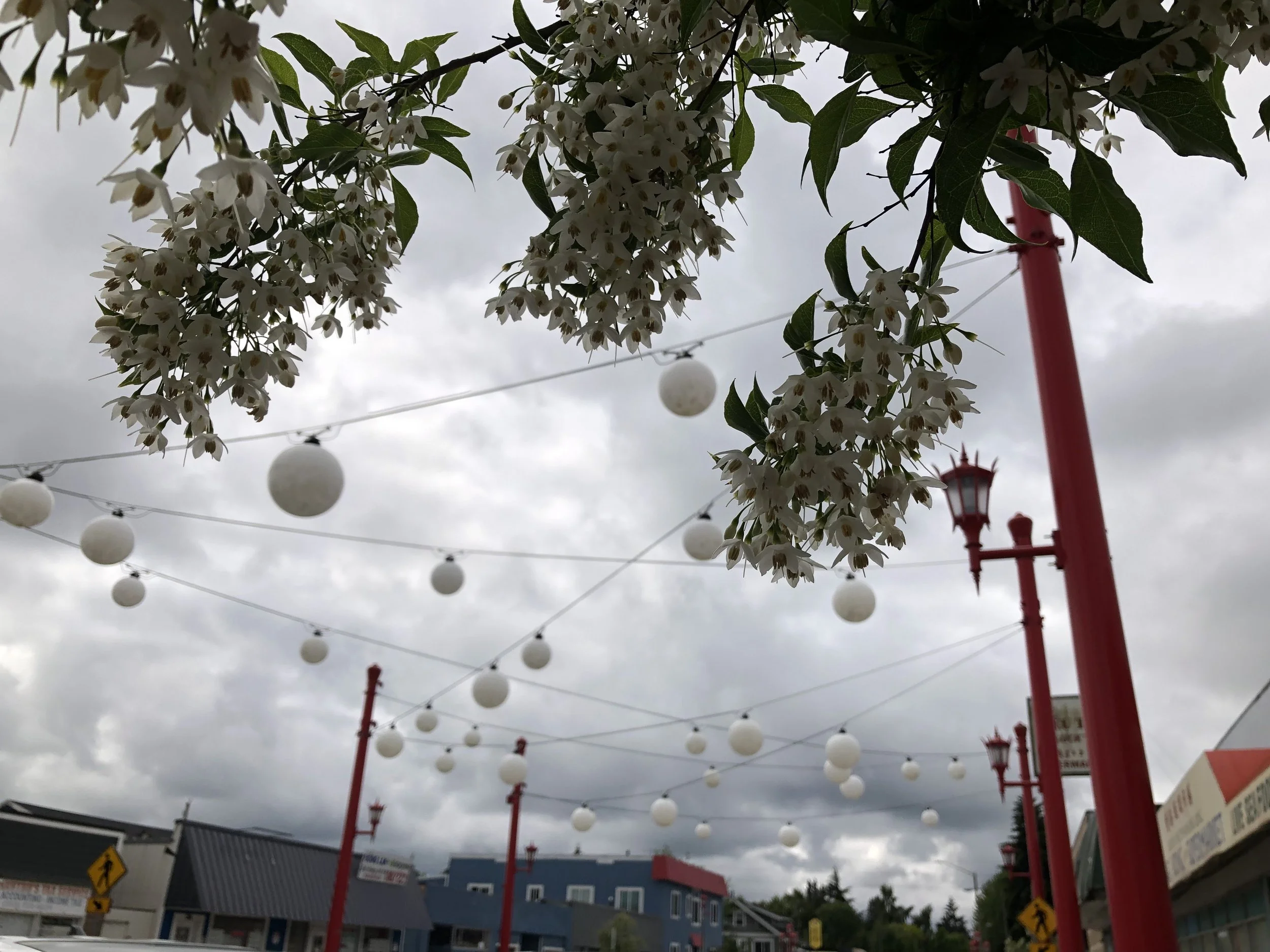 Lincoln International District Full Moons